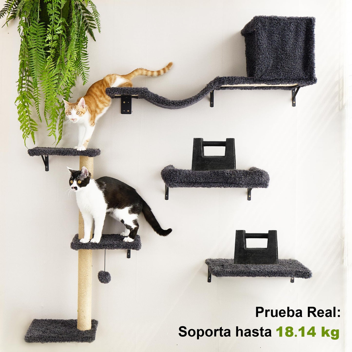 FUKUMARU Set de Pared de Escalada para Gatos, 4 Piezas - Estanterías de Pared, Hechas de Placas Multicapa Fuertes, Puente para Gatos, Árbol para Gatos, Escaleras para Gatos hasta 18 kg, Gris