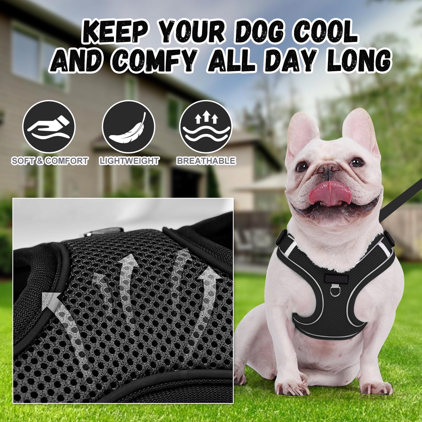 Arnés Perro y Conjunto de Correa, Arnés Reflectante & Antitirones para Perro, Chaleco Acolchado Cómodo y Ajustable para Perros, Ideal para Que tu Mascota Pasee & Capacitación (Negro, XS)