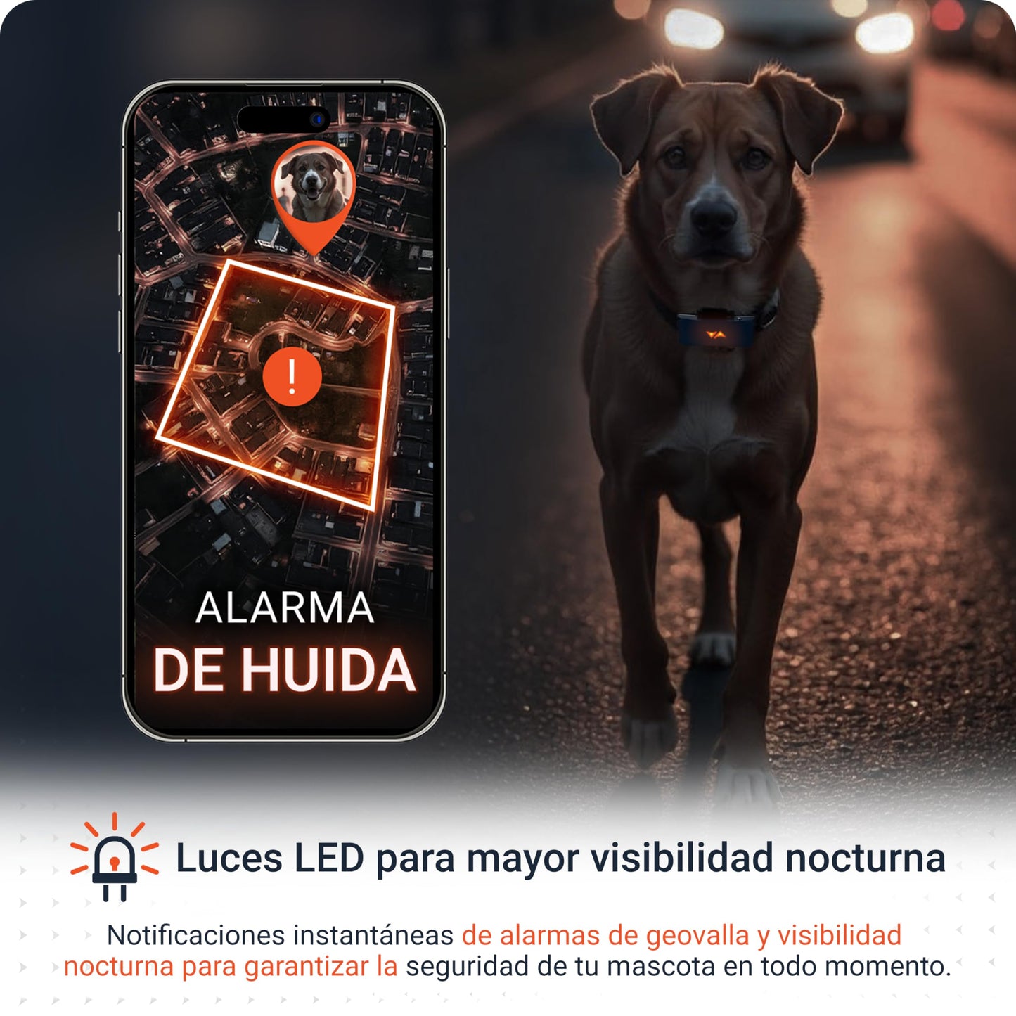 Collar Localizador GPS para Perros 4G - Alarmas de Fuga + Seguimiento Global en Tiempo Real - Batería hasta 10 días - 100% Resistente al Agua (IP67) - con Luces LED - Apto para Cualquier Collar - Azul