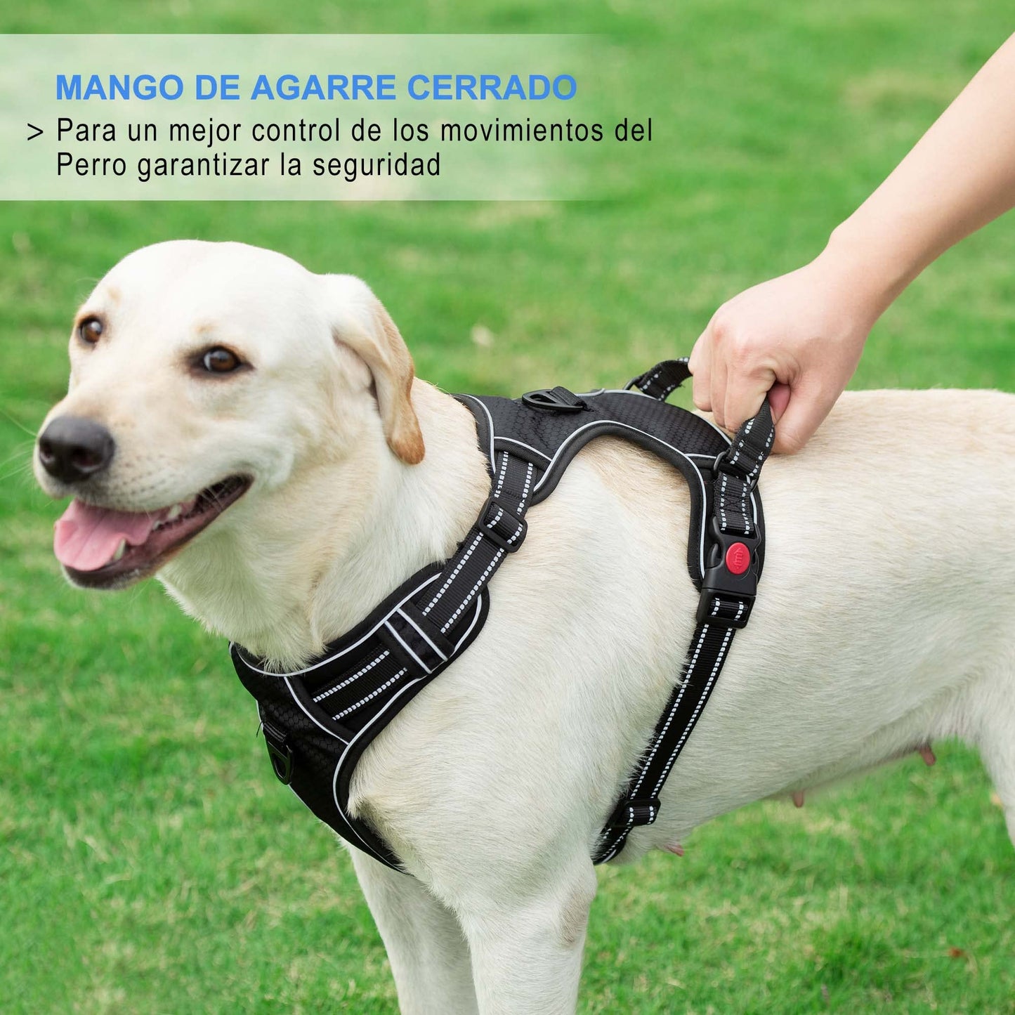 Arnés para Perro sin Tirar, Ajustable, Reflectante Oxford, fácil de controlar, Mediano y Grande, con una Correa para Perro Resistente