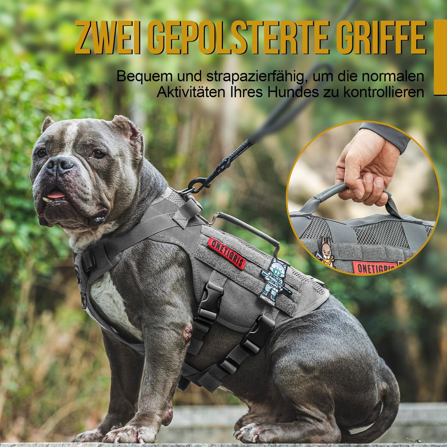 Arnés para perros, malla de aire, ajustable, ultratranspirable, para perros grandes/medianos con 2 asas
