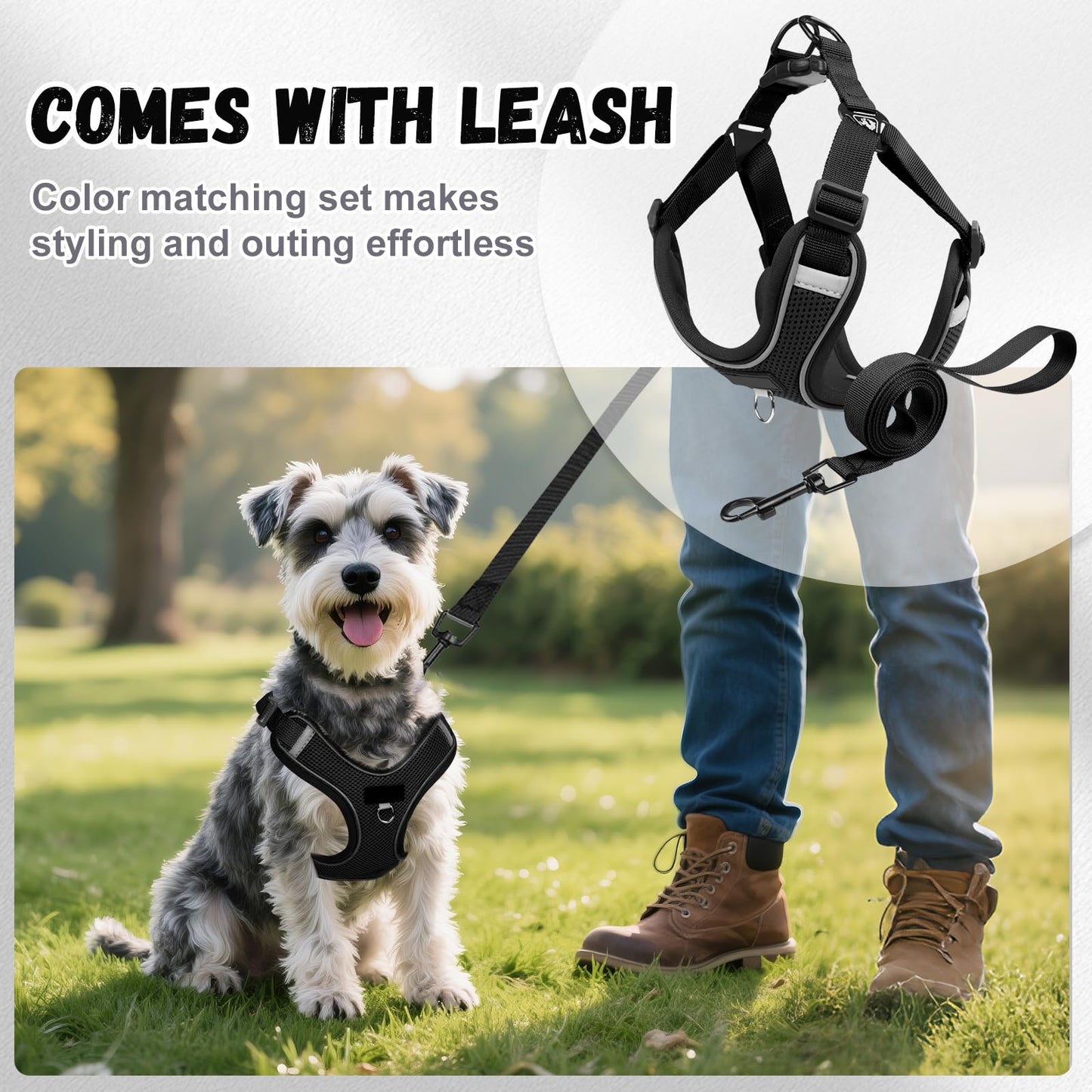 Arnés Perro y Conjunto de Correa, Arnés Reflectante & Antitirones para Perro, Chaleco Acolchado Cómodo y Ajustable para Perros, Ideal para Que tu Mascota Pasee & Capacitación (Negro, XS)