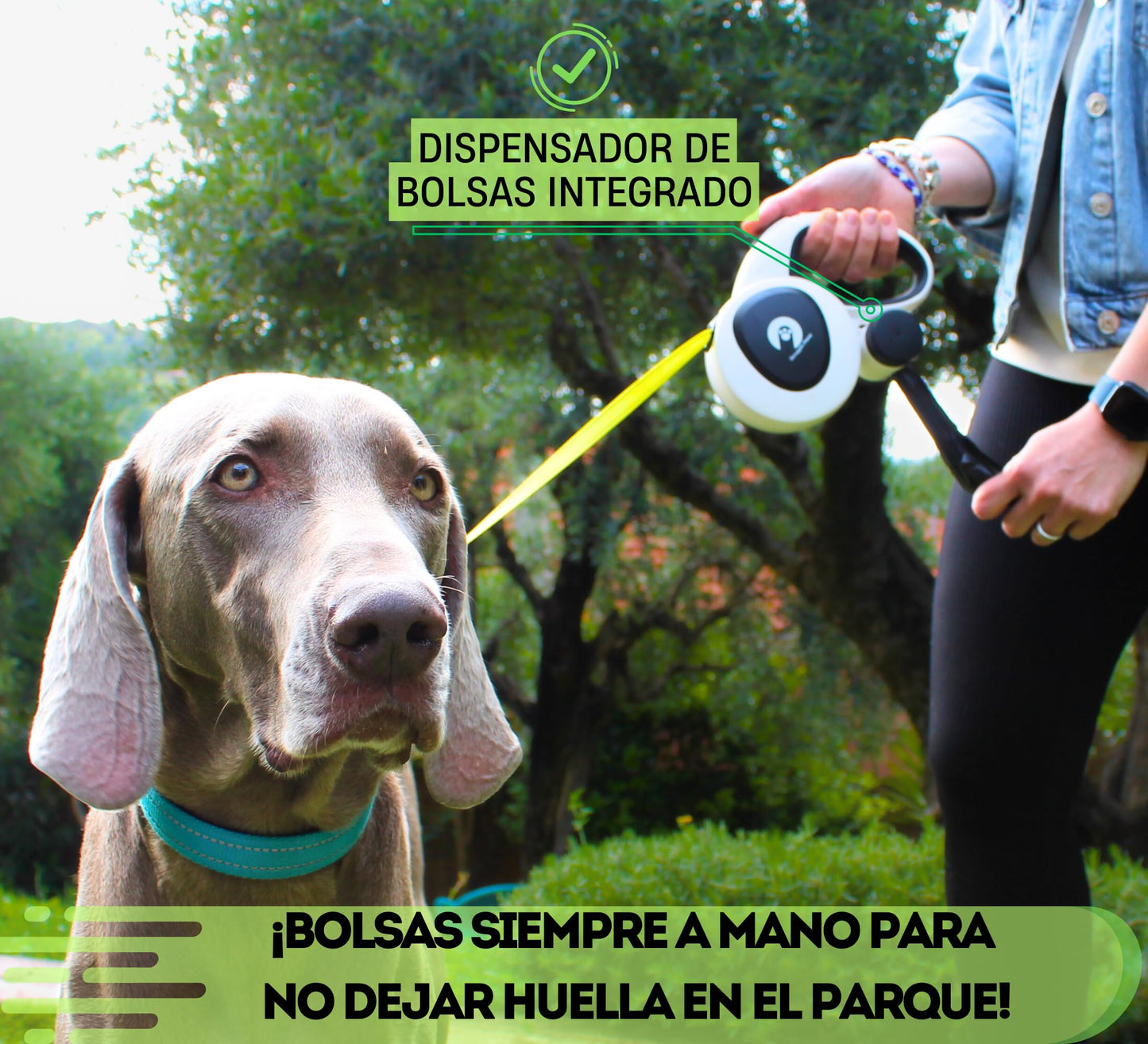 Snuggle Paws Correa Perro Extensible 5m Todo en Uno – Luz LED, Dispensador de Bolsas, Cable Antimordida y Cinta Reflectante | Correa Retráctil para Perros Medianos hasta 30kg