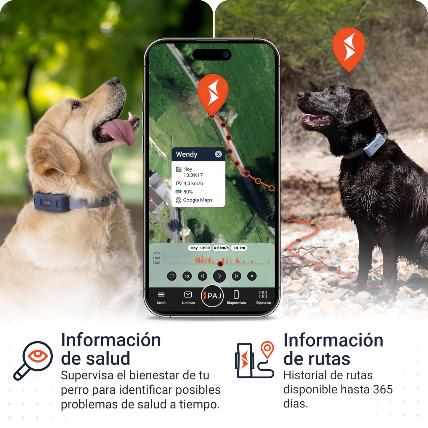Collar Localizador GPS para Perros 4G - Alarmas de Fuga + Seguimiento Global en Tiempo Real - Batería hasta 10 días - 100% Resistente al Agua (IP67) - con Luces LED - Apto para Cualquier Collar - Azul