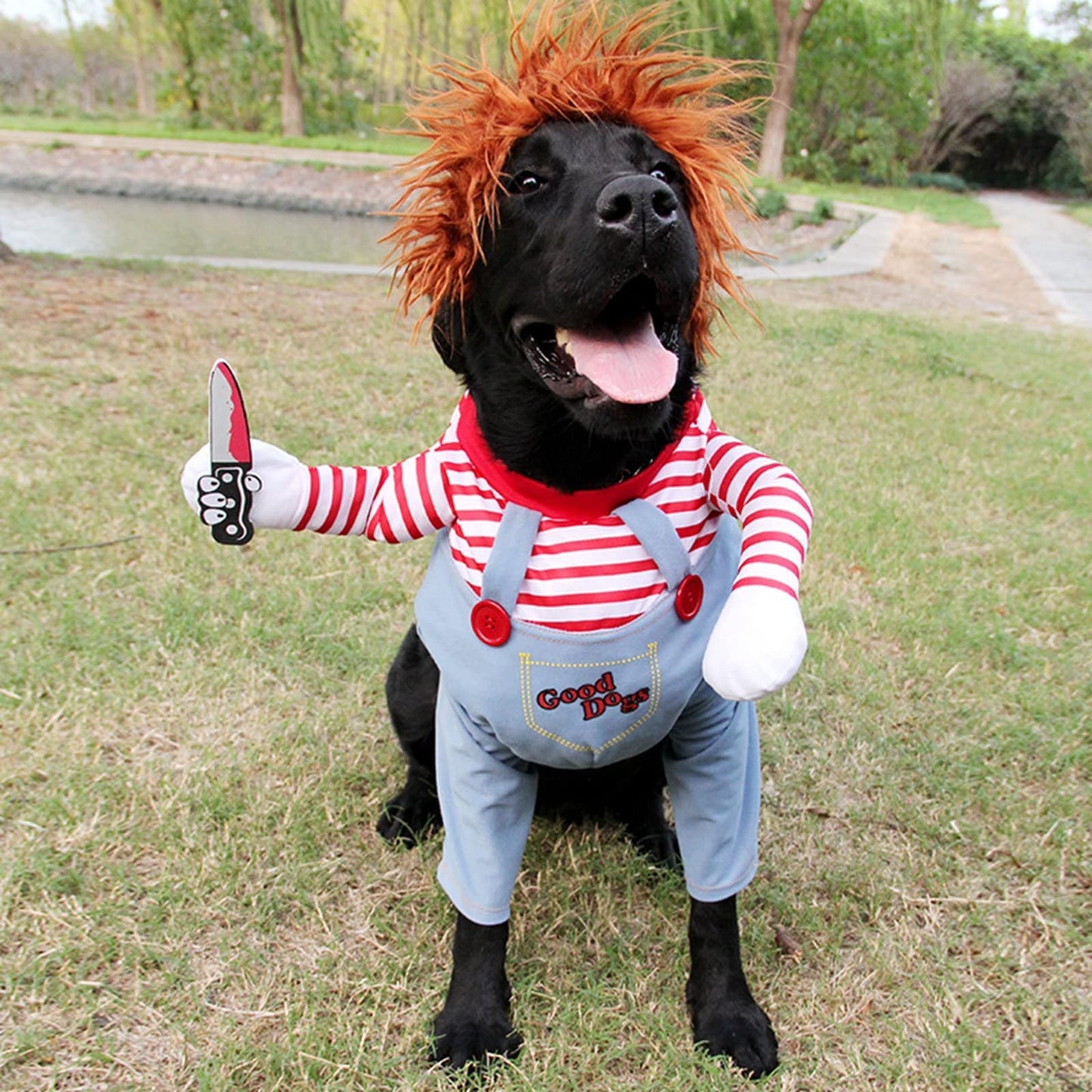 Disfraz Mascota Ropa de Halloween Perro Gato Cosplay Traje de Fiesta Divertida Ropa para Perros para Halloween, Navidad, M