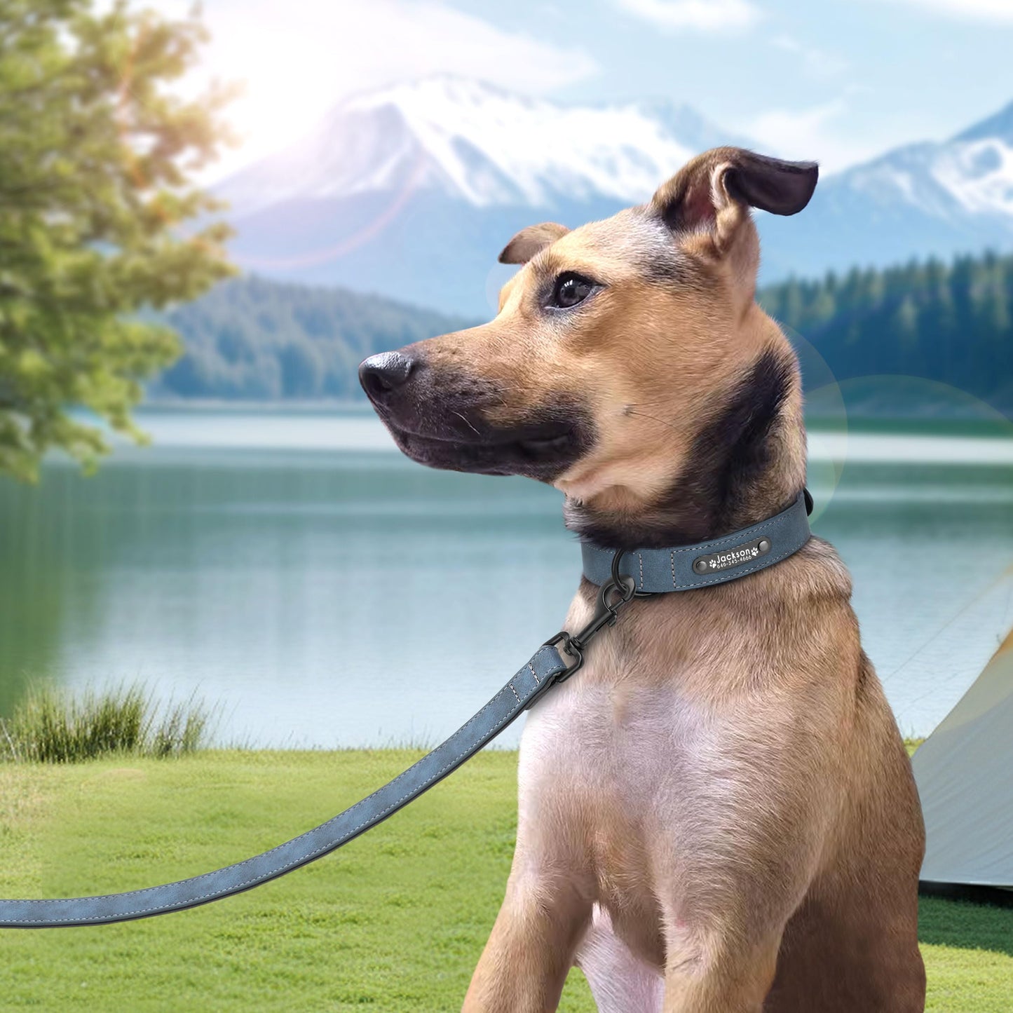 Collar de Piel Suave Acolchada Personalizable para Perro, Chapa de Nombre, Anilla en D, Collar Grabado para Perro, tamaños pequeño, Mediano y Grande