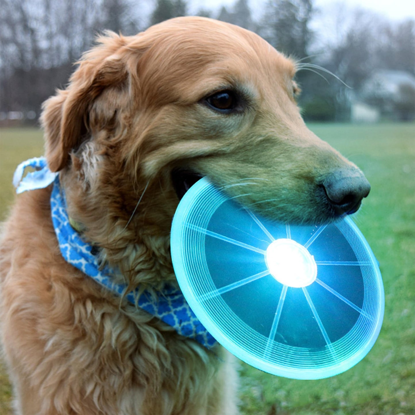 Frisbee Perro, Perros interactivos Frisbee, Juguete de Disco Volador para Perro, Frisbee para Mascotas, Frisbee Perro Goma, Frisbee Cachorro para Lanzar, Entrenar, Jugar, Atrapar