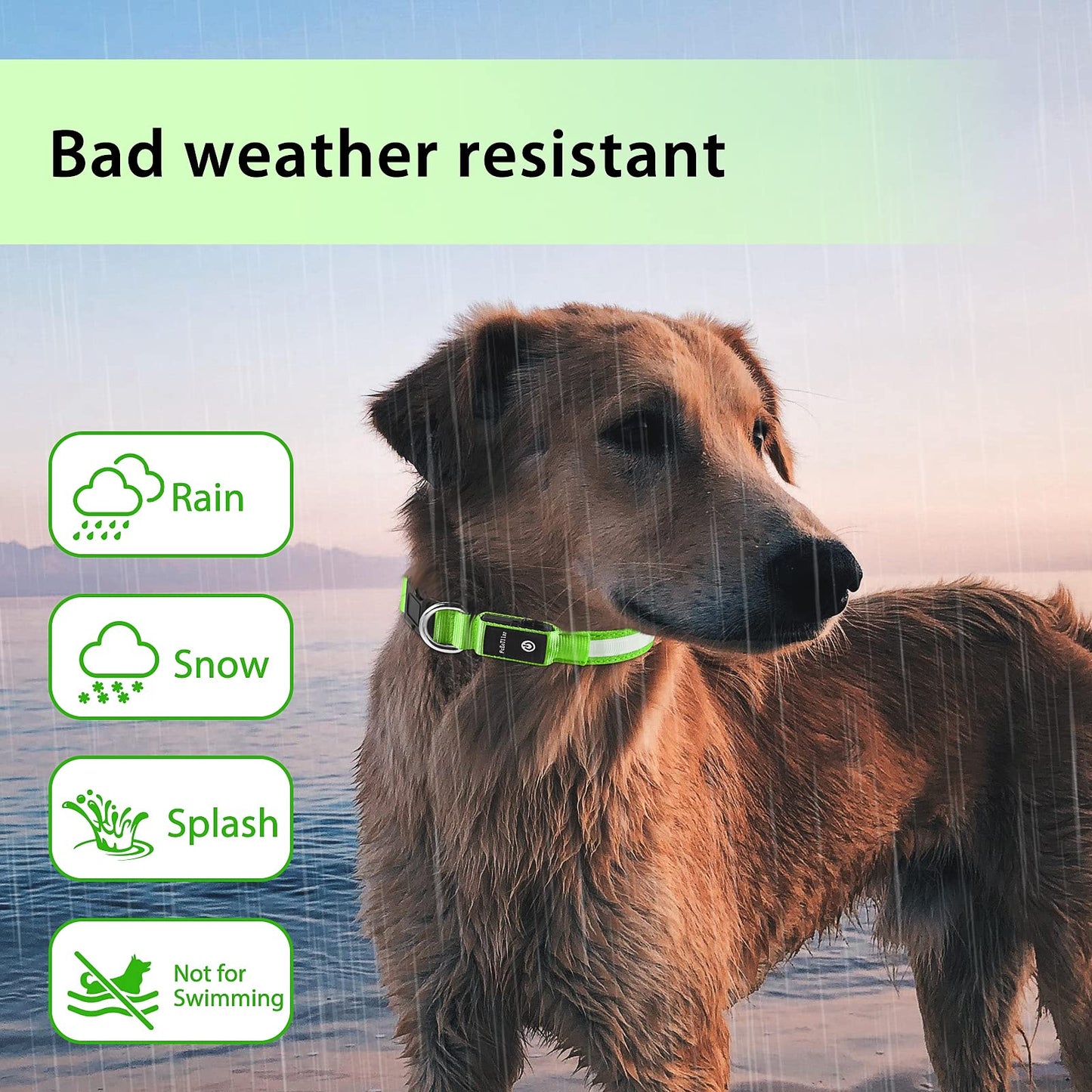 PcEoTllar Collar Luz para Perro Recargable, Collar LED Impermeable con 7 Colores Ajustable para Perros Pequeños, Medianos y Grandes