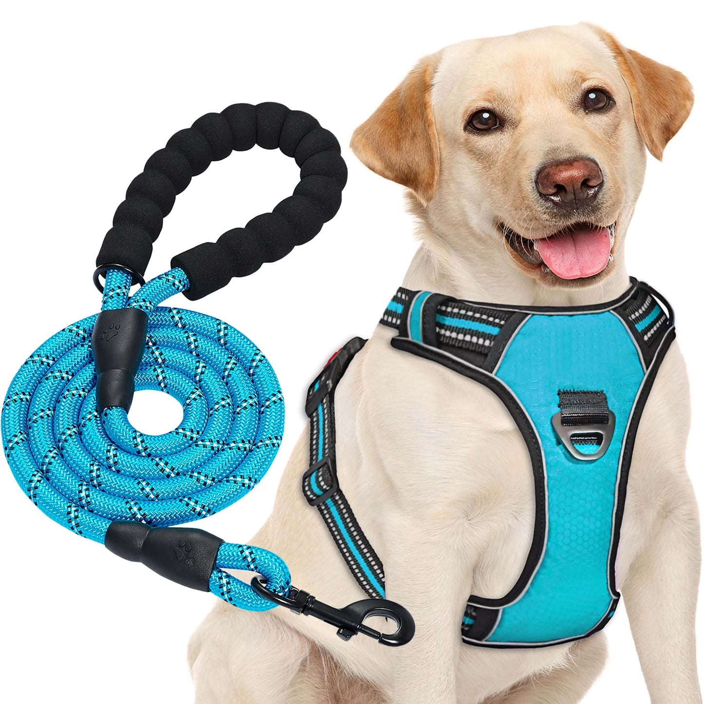 Arnés para Perro sin Tirar, Ajustable, Reflectante Oxford, fácil de controlar, Mediano y Grande, con una Correa para Perro Resistente