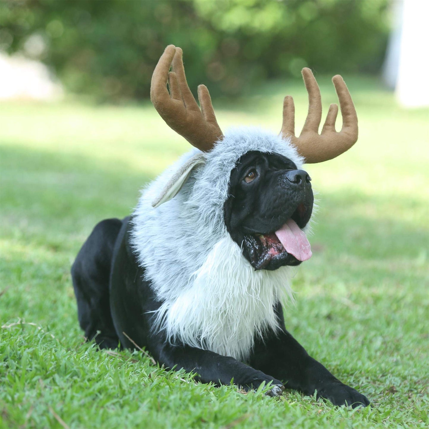 Disfraces de Reno para Perro, Bonita Peluca Peluda para Halloween, Navidad, Accesorios de Ropa para Mascotas (Alce, Talla L)