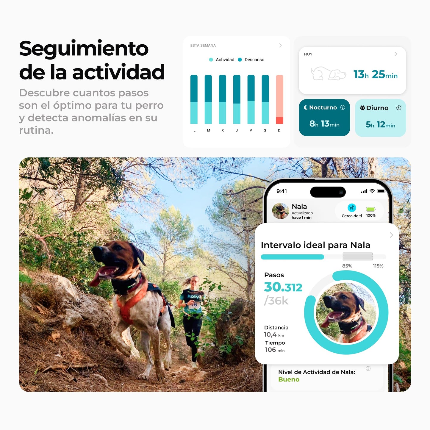 Kolyy Series 2 - Collar GPS para Perros Hecho en España - Localizador GPS Perros con Control vía App - Localización en Tiempo Real y sin Límite de Distancia –Control Actividad, Reposo, Paseos y Rutas