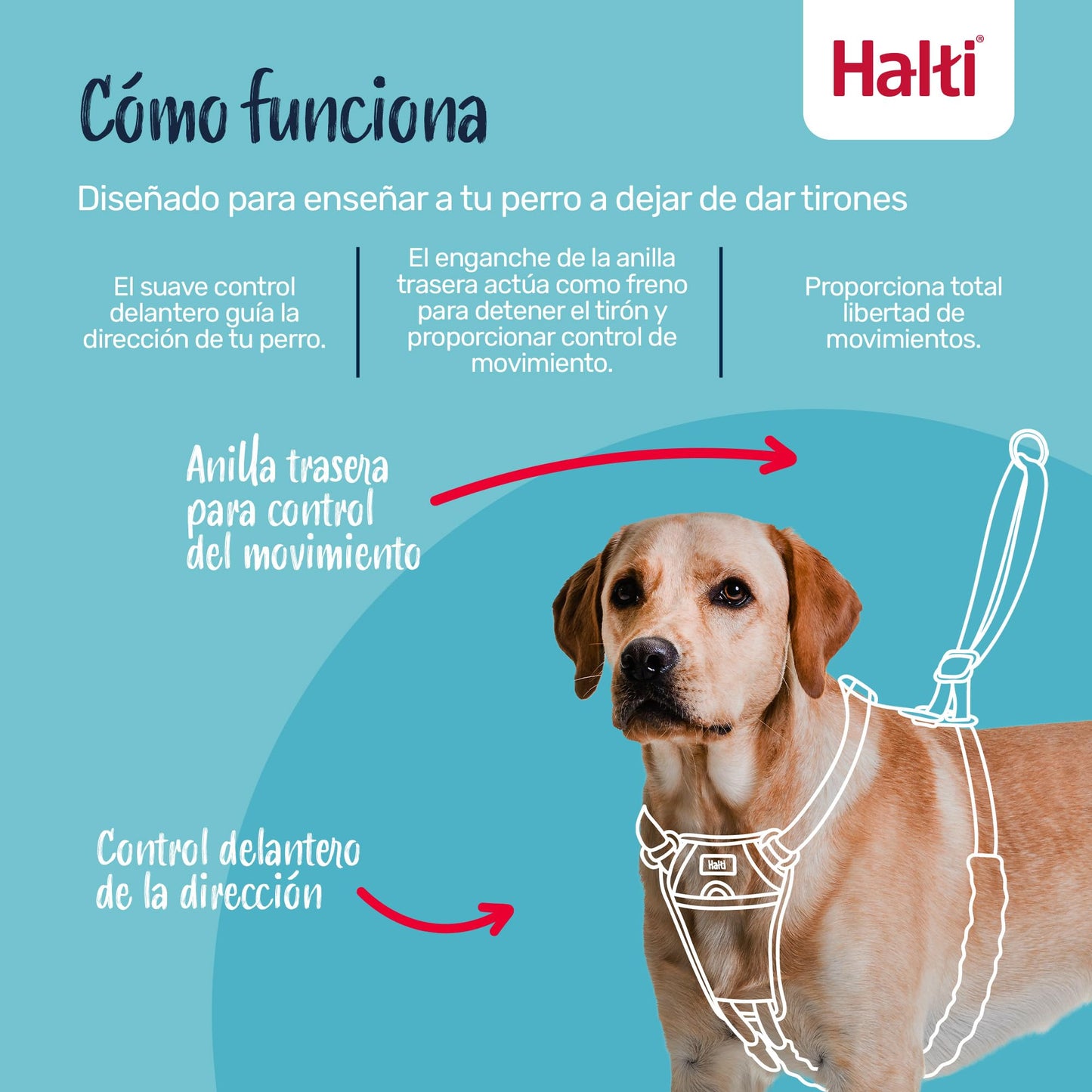 Arnés anti tirones HALTI - Para evitar que tu perro tire de la correa, Ajustable, Ligero y Fácil de Usar. Reflexiva Adiestramiento canino Arnés para perros medianos (Talla M, Nogal Intenso)