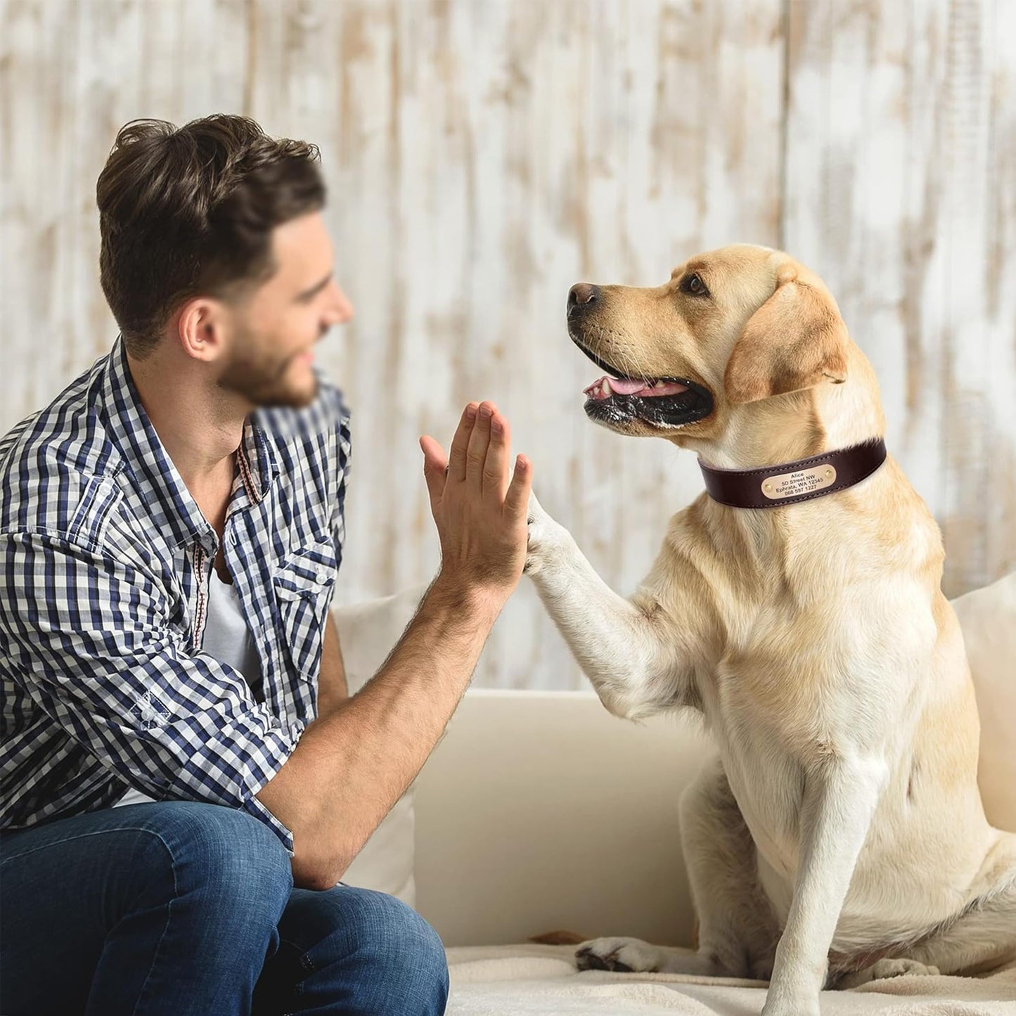 Collares para Perro de Piel auténtica con Placa de Nombre grabada, Collar de Perro de Cuero Suave Personalizado con Etiqueta de identificación Personalizada Marrón