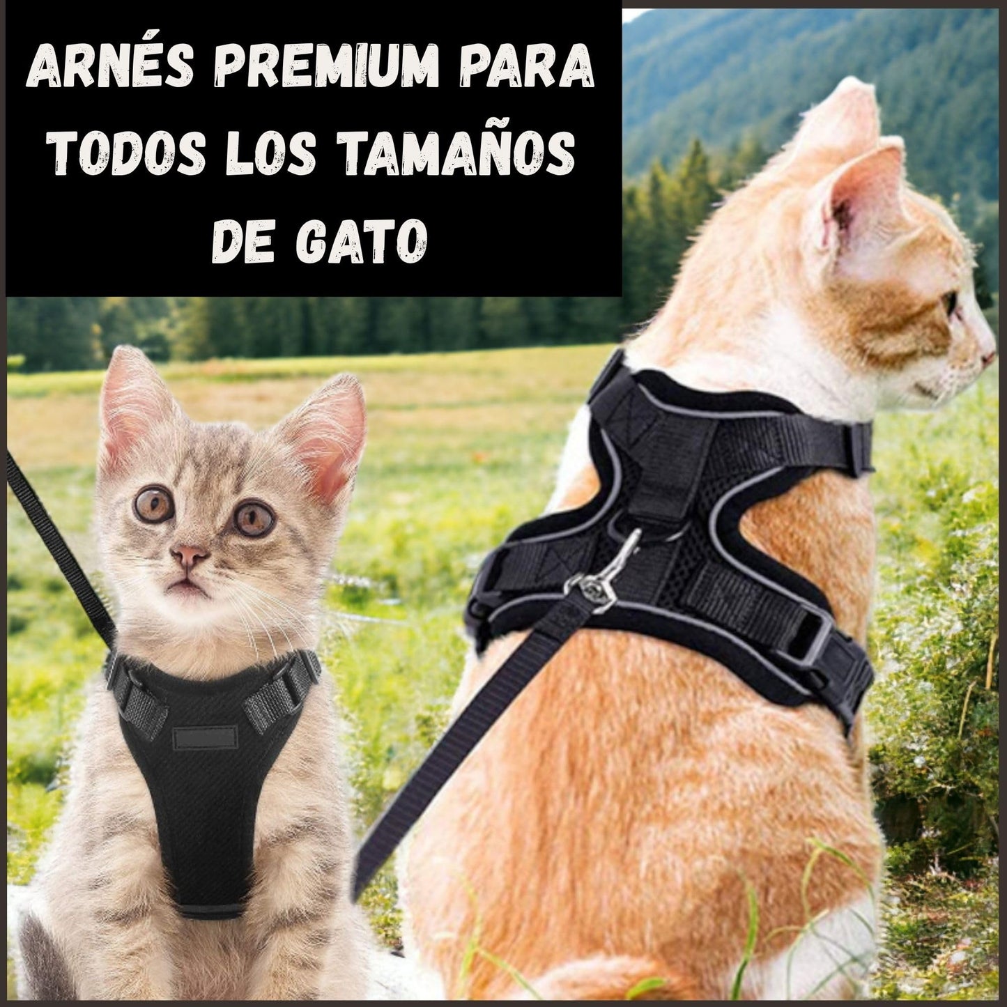 Arnes para Gatos, con Correa de 150cm, Antiescape, Cómodo y Reflectante, Fabricado en Malla Transpirable Suave, Arnes Gato, Cosas para Gatos, arnes Gato Pequeño. (XS, Negro)