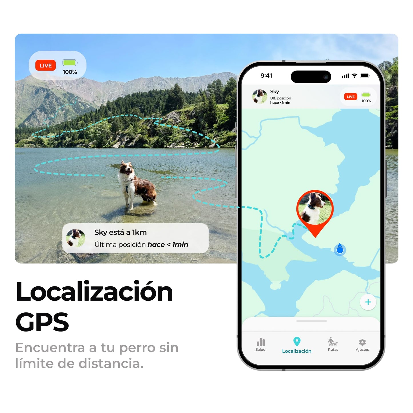 Kolyy Series 2 - Collar GPS para Perros Hecho en España - Localizador GPS Perros con Control vía App - Localización en Tiempo Real y sin Límite de Distancia –Control Actividad, Reposo, Paseos y Rutas
