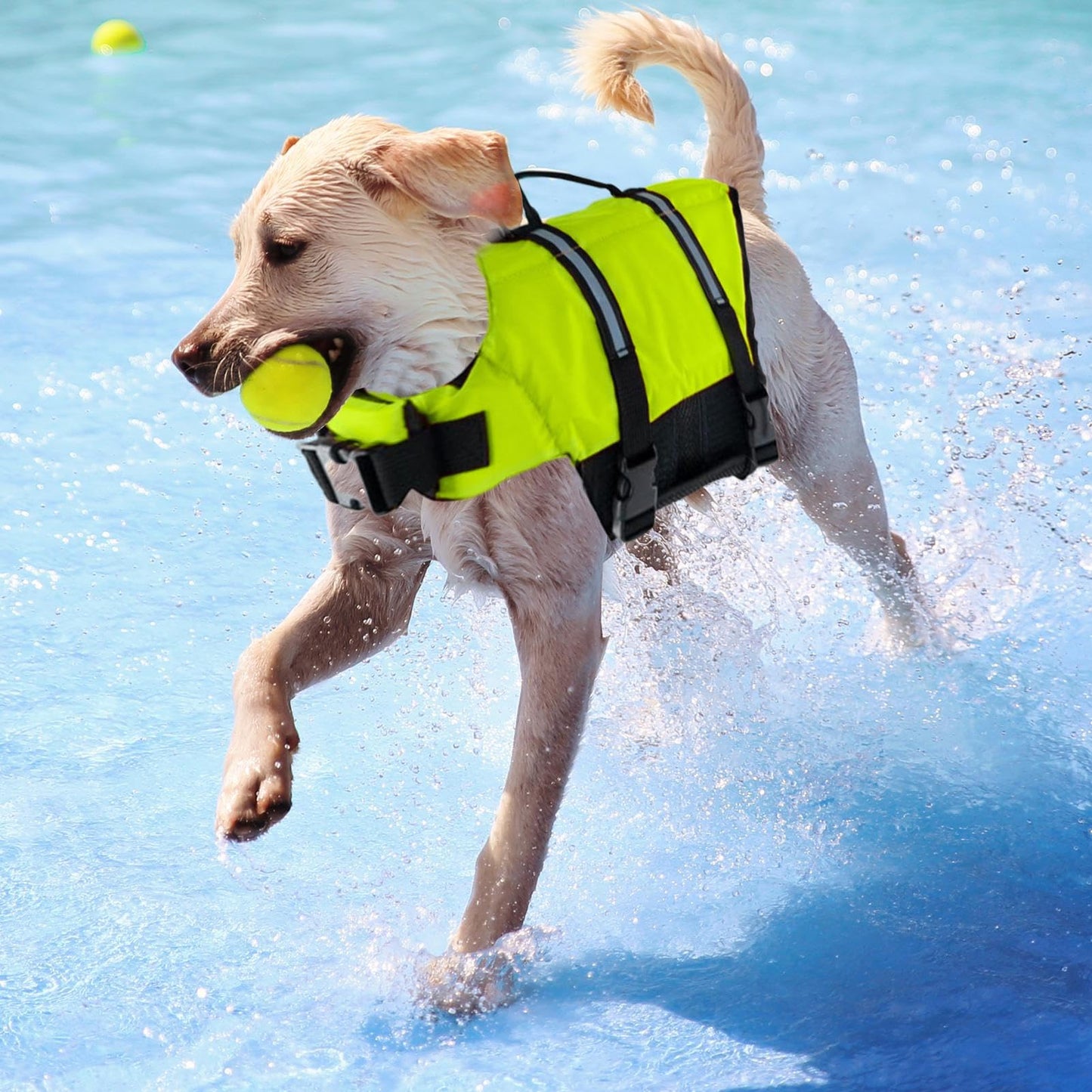 Chaleco Salvavidas para Perros Natación,Flotador Seguro para Cachorros Y Perros,Accesorios Mascotas Piscina Lago Kayak Razas Grandes Pequeñas Cachorros Playa Muelle | Actividades Acuáticas