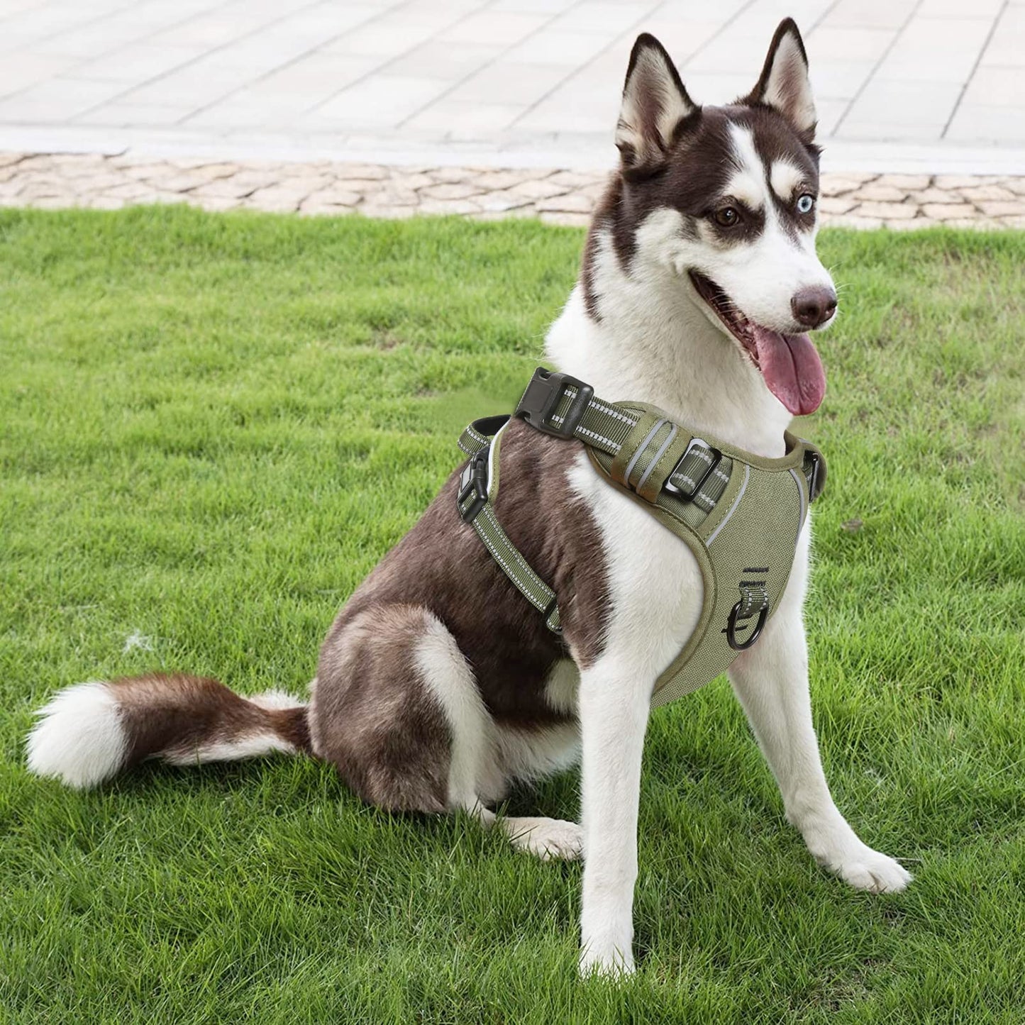 Arnés para Perro, arnés Anti tracción Reflectante, arnés para Perro Mediano Grande con asa Acolchada, 1 Hebilla en la Correa Recta del Cuello, fácil de Poner y Quitar, Verde, L