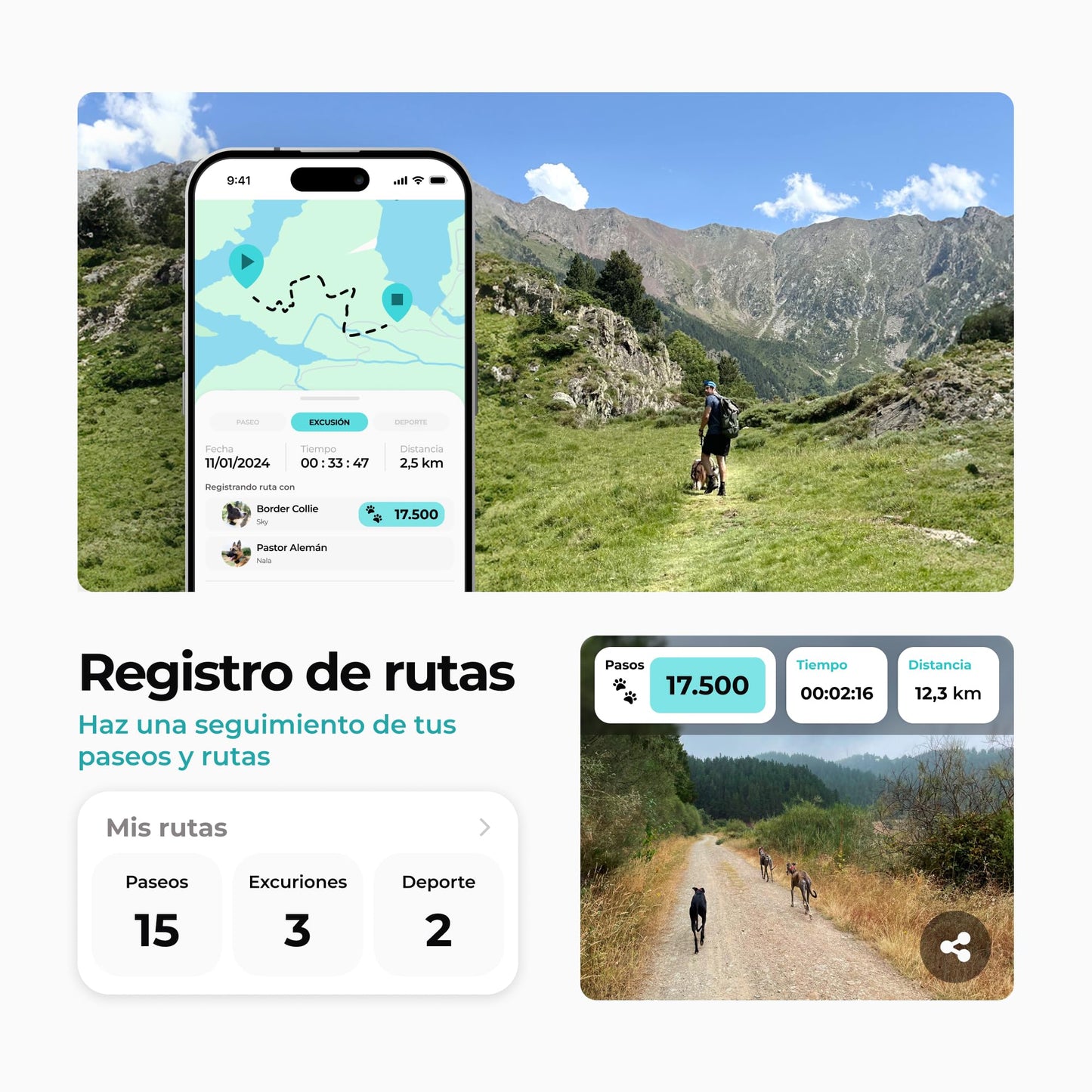 Kolyy Series 2 - Collar GPS para Perros Hecho en España - Localizador GPS Perros con Control vía App - Localización en Tiempo Real y sin Límite de Distancia –Control Actividad, Reposo, Paseos y Rutas