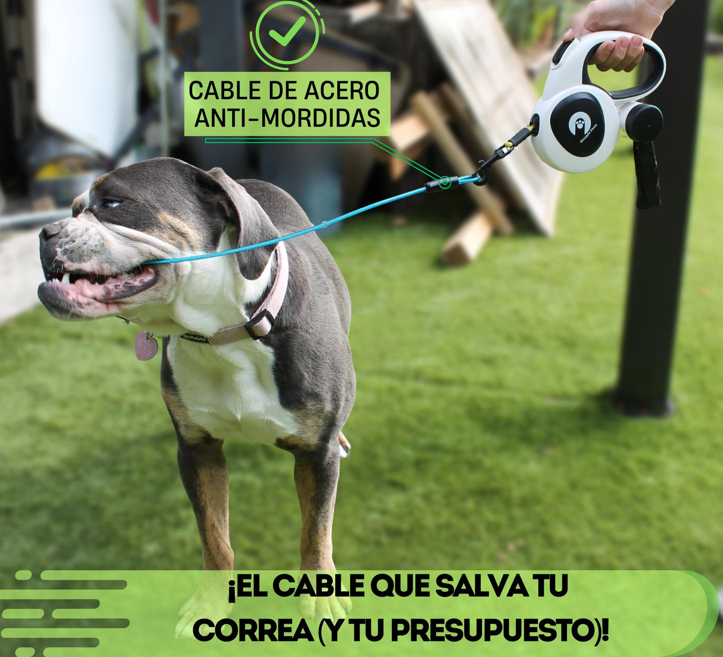 Snuggle Paws Correa Perro Extensible 5m Todo en Uno – Luz LED, Dispensador de Bolsas, Cable Antimordida y Cinta Reflectante | Correa Retráctil para Perros Medianos hasta 30kg