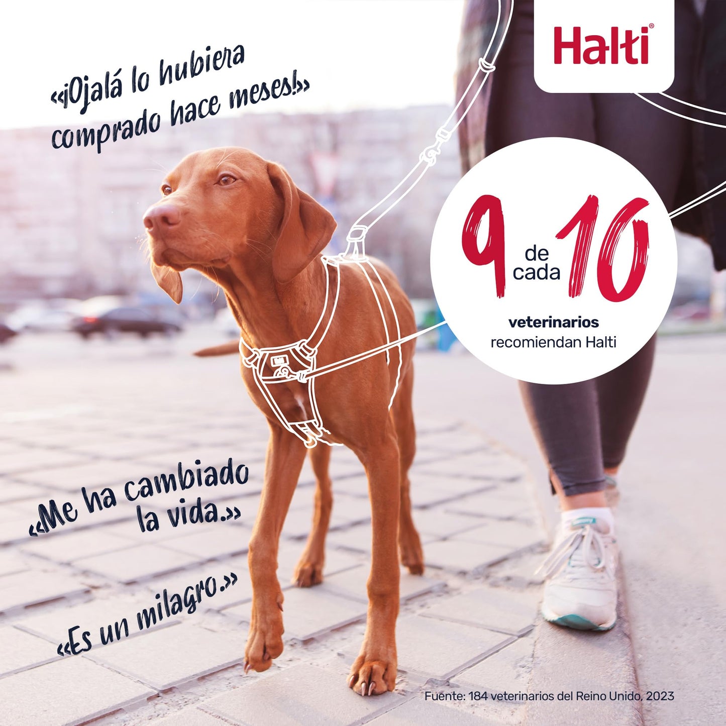 Arnés anti tirones HALTI - Para evitar que tu perro tire de la correa, Ajustable, Ligero y Fácil de Usar. Reflexiva Adiestramiento canino Arnés para perros medianos (Talla M, Nogal Intenso)