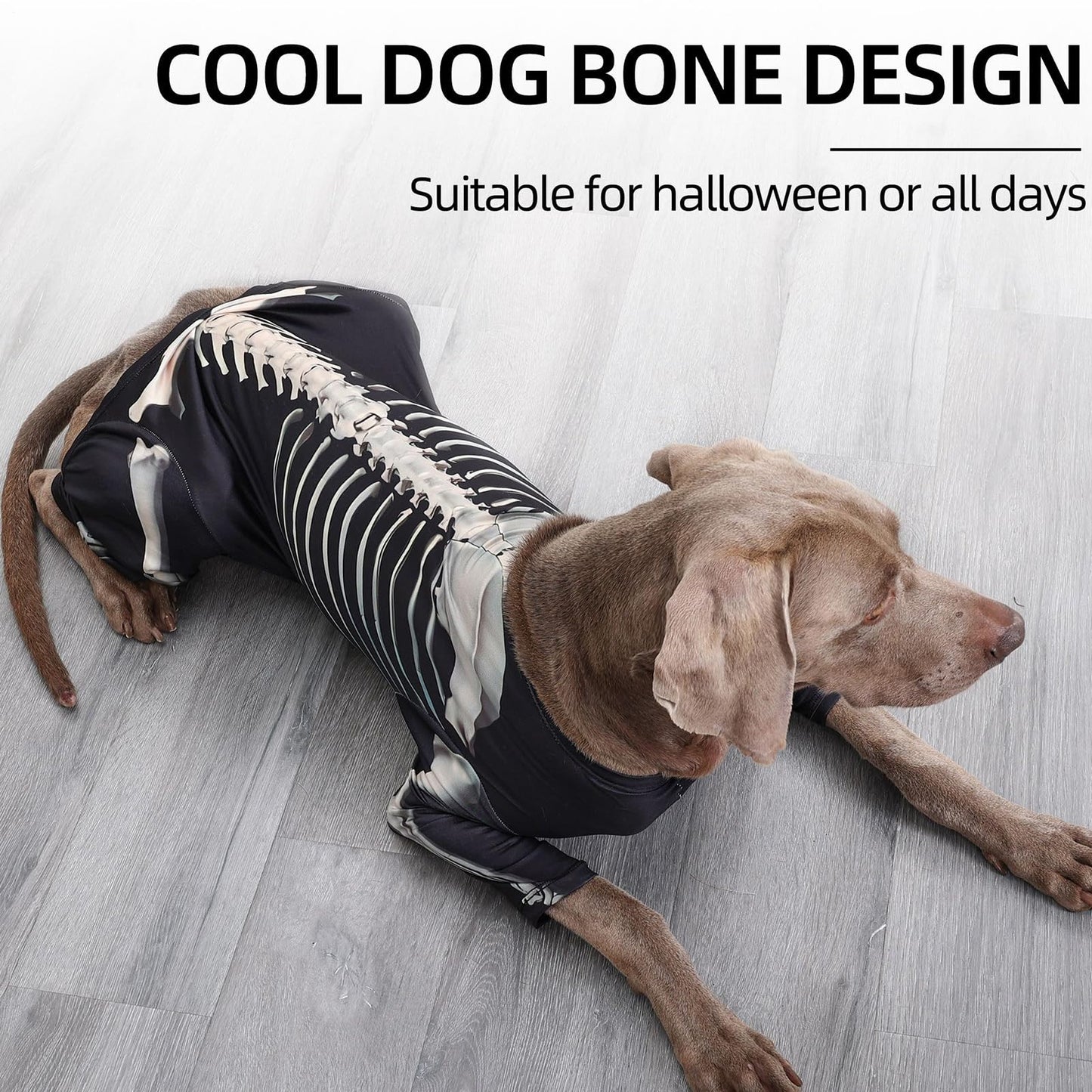 Disfraces De Halloween para Perros De Tamaño Grande,Disfraces De Esqueleto para Perros Halloween - Trajes Transpirables para Celebrar en Casa Fiestas Navideñas y Cosplay