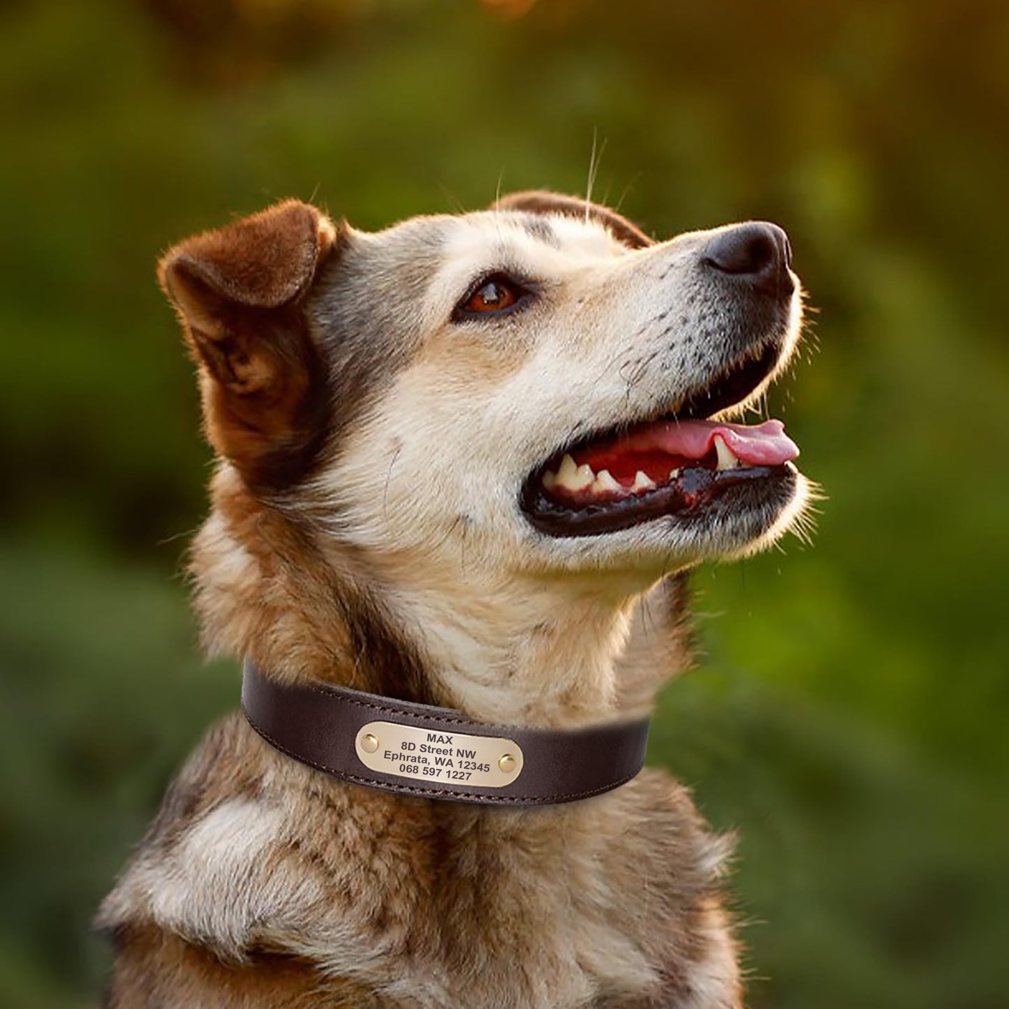 Collares para Perro de Piel auténtica con Placa de Nombre grabada, Collar de Perro de Cuero Suave Personalizado con Etiqueta de identificación Personalizada Marrón