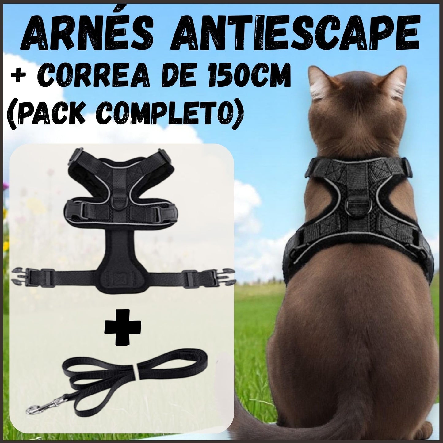 Arnes para Gatos, con Correa de 150cm, Antiescape, Cómodo y Reflectante, Fabricado en Malla Transpirable Suave, Arnes Gato, Cosas para Gatos, arnes Gato Pequeño. (XS, Negro)