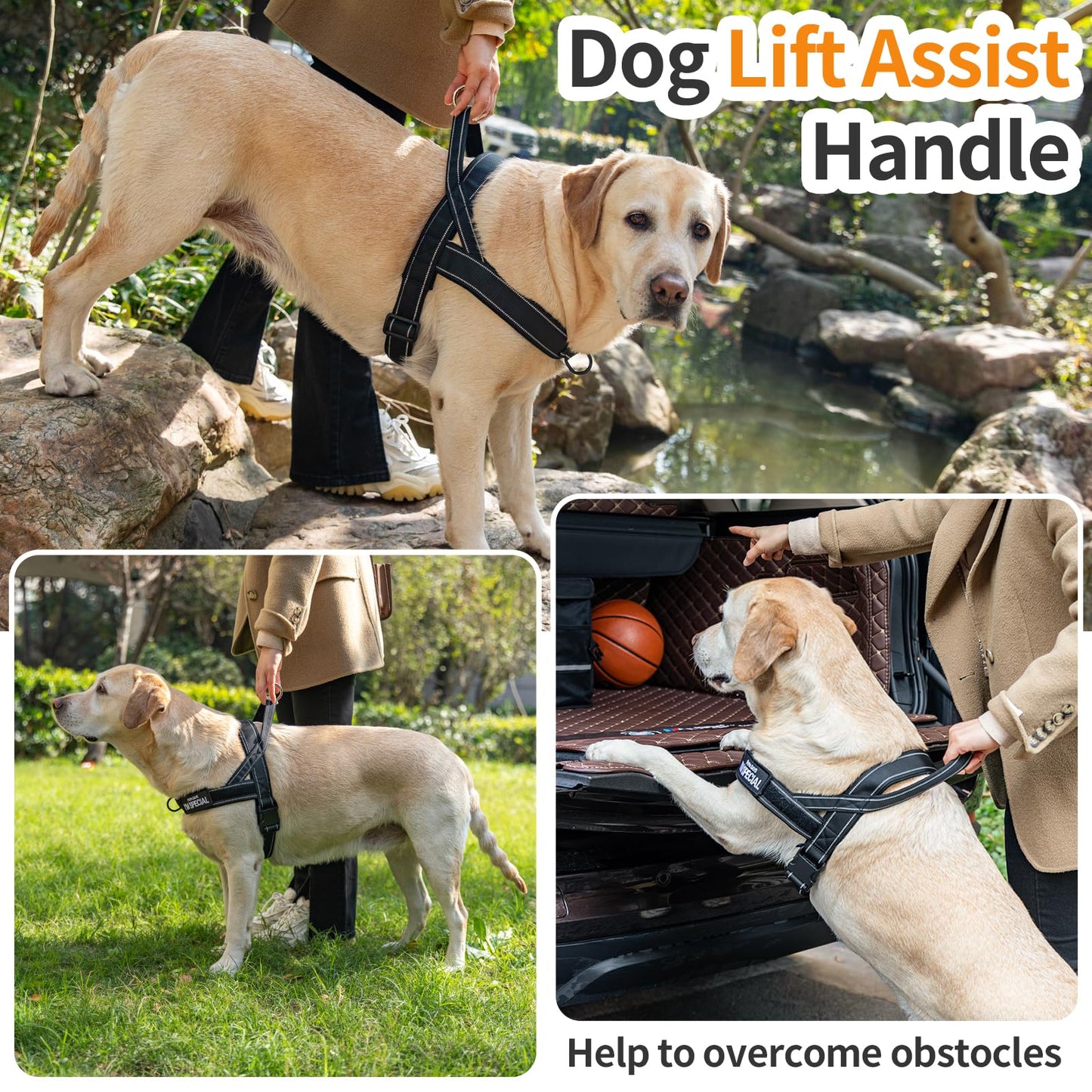 Arnés para Perros pequeños y medianos Reflectante, Ajustable, sin tirón, arnés para Perros