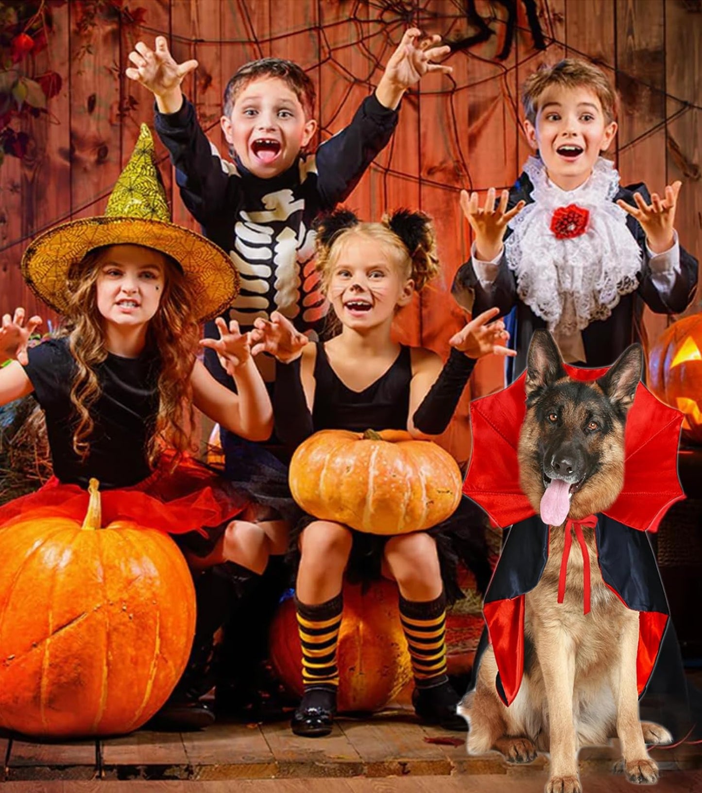 Disfraz de Halloween para Perro Gato, Disfraces de Halloween, Capa de Vampiro para Mascotas, Capa de Vampiro con alas de murciélago de melón, Disfraces de Cosplay para Mascotas (M)