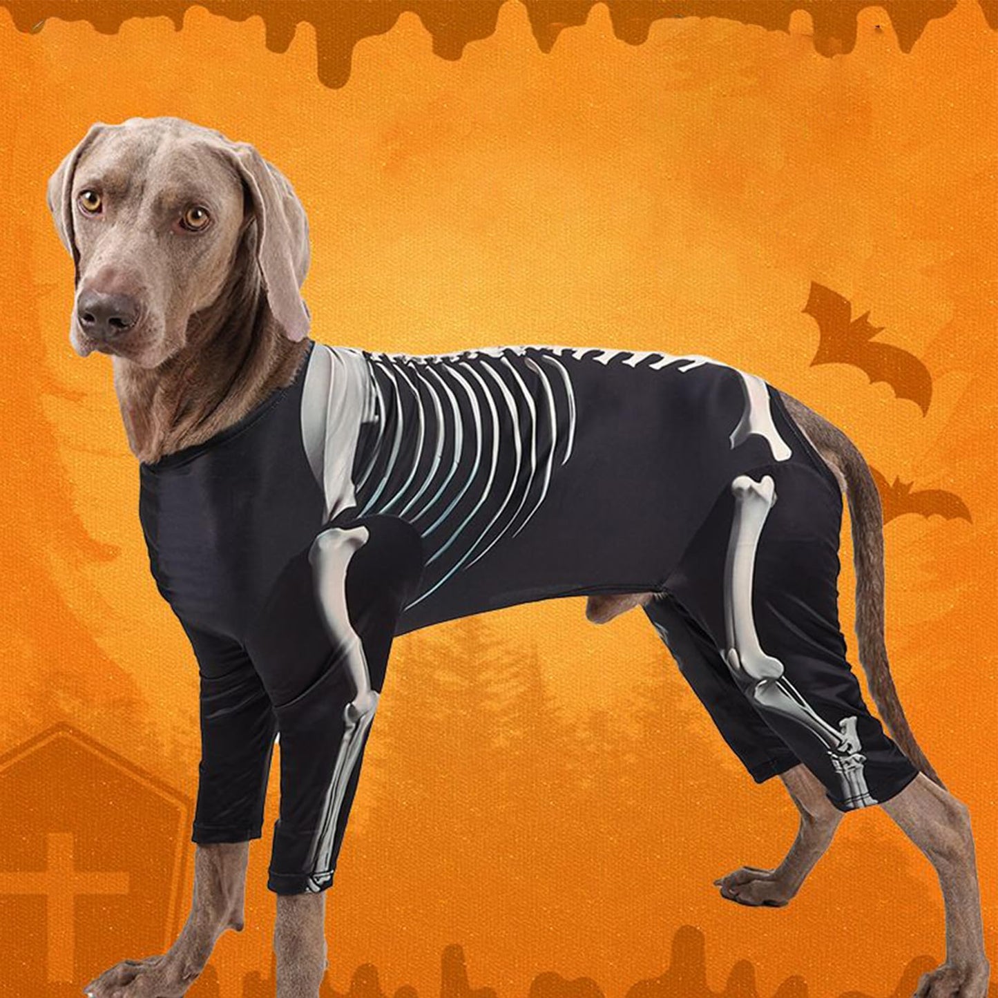 Disfraces De Halloween para Perros De Tamaño Grande,Disfraces De Esqueleto para Perros Halloween - Trajes Transpirables para Celebrar en Casa Fiestas Navideñas y Cosplay