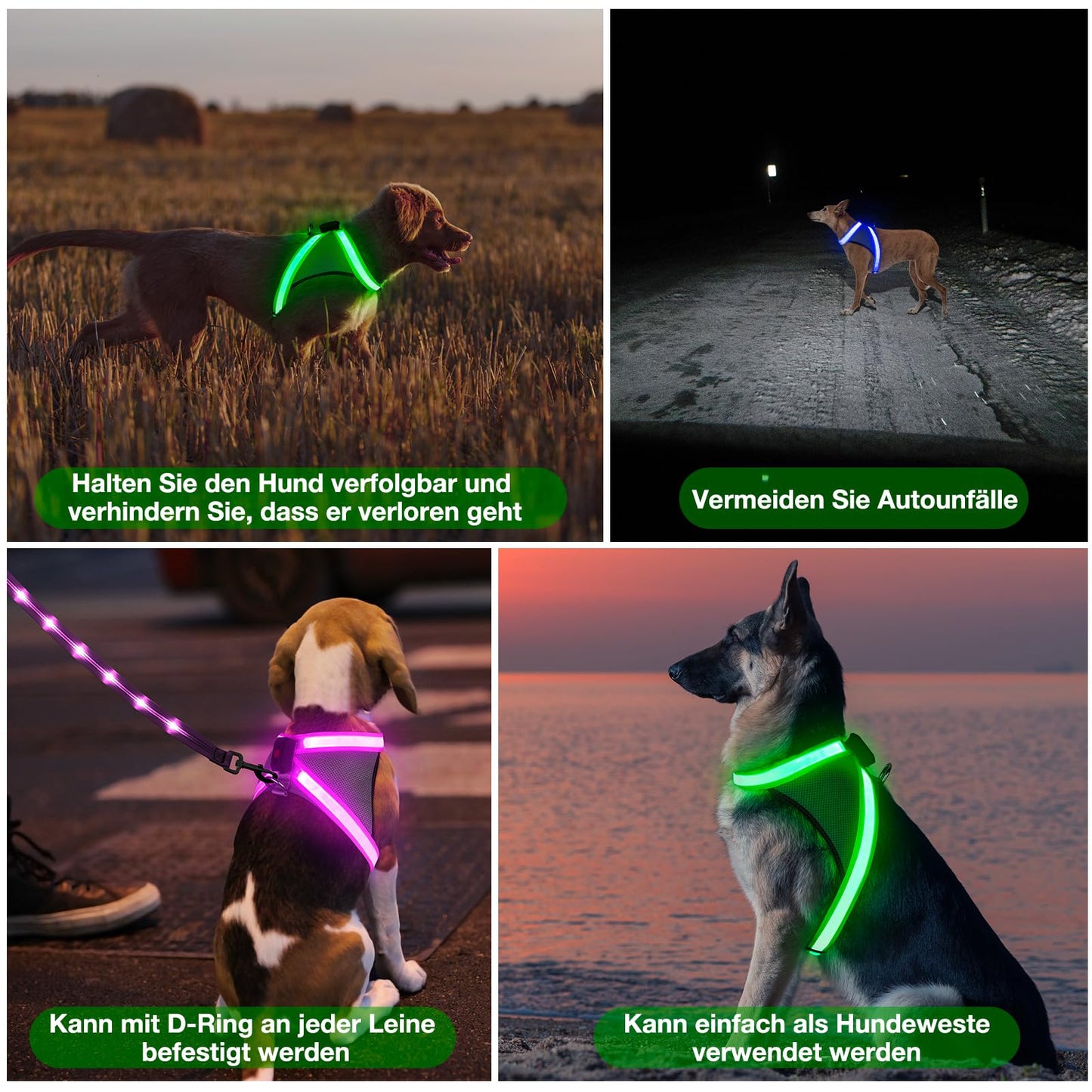Arnés luminoso LED para perros recargable por USB, completamente iluminado, brilla en la oscuridad para paseos nocturnos, chaleco de seguridad, perros medianos y grandes (verde, L)