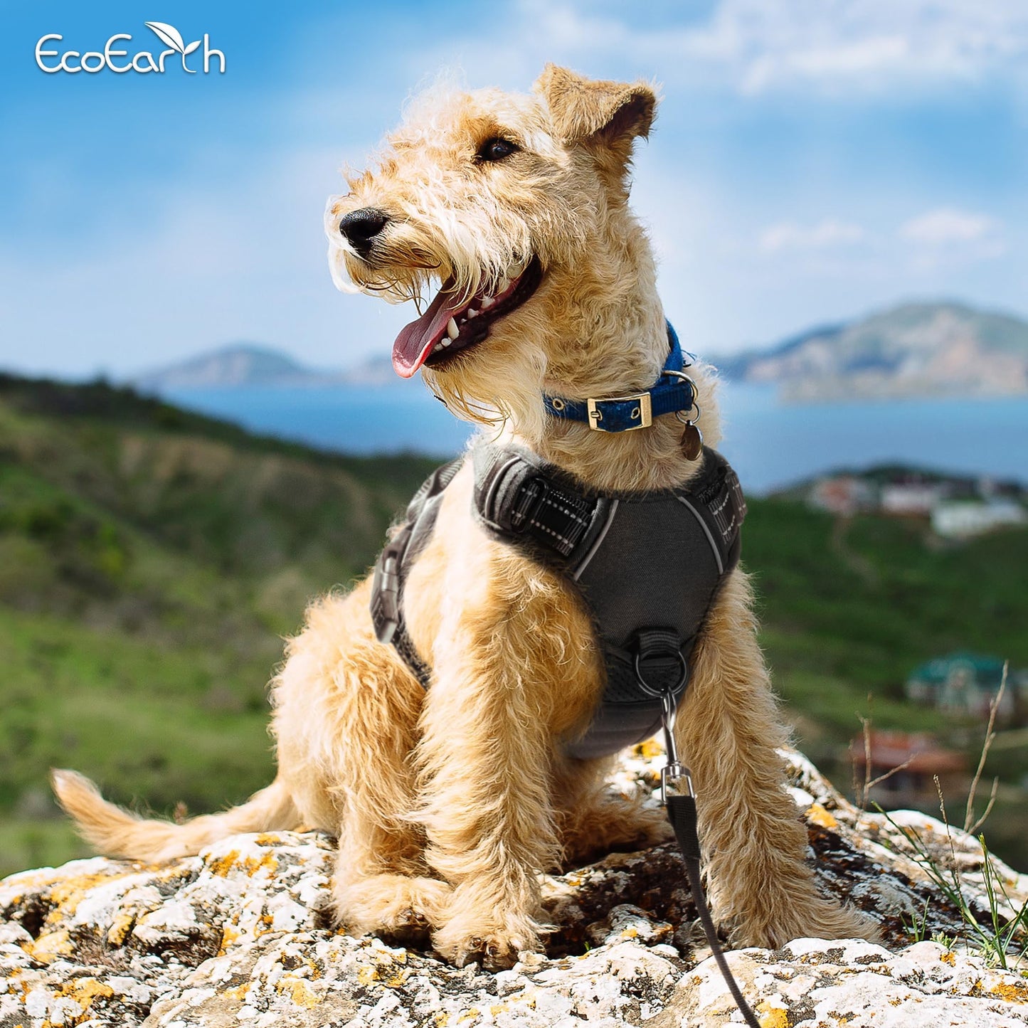 Arnés para Perros Grandes - Extragrande, Negro - Arnés para Mascotas con diseño antitirones y Acolchado Suave para Correr y Hacer Senderismo - de EcoEarth