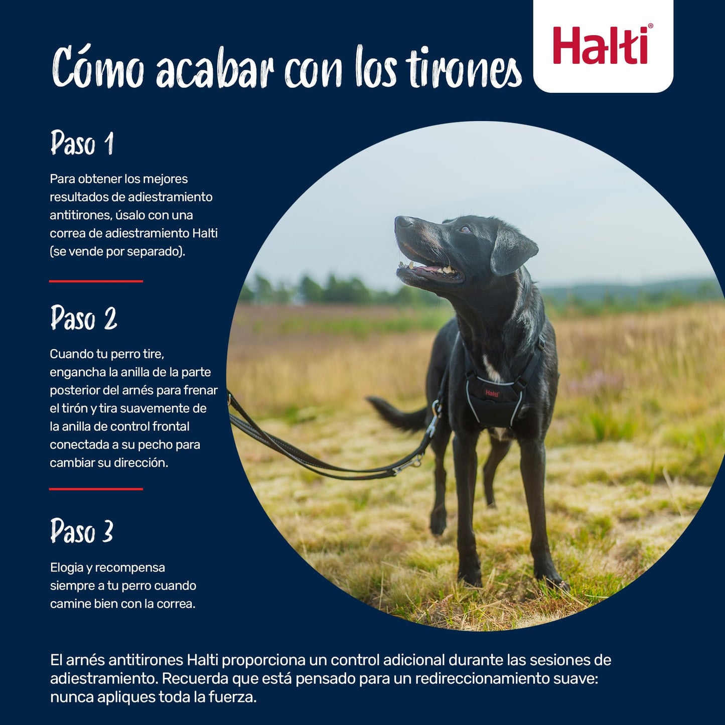 Arnés anti tirones HALTI - Para evitar que tu perro tire de la correa, Ajustable, Ligero y Fácil de Usar. Reflexiva Adiestramiento canino Arnés para perros medianos (Talla M, Nogal Intenso)
