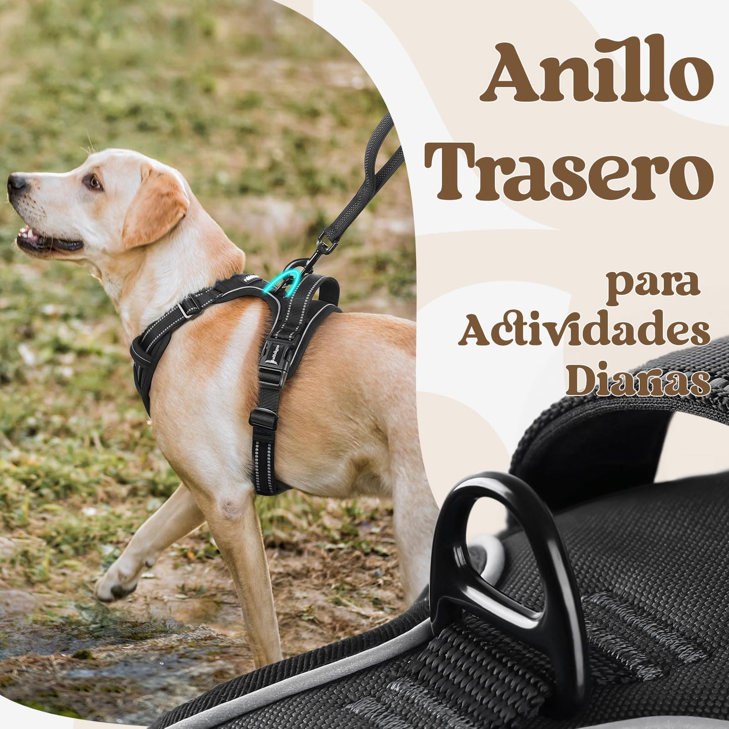 rabbitgoo Arnes Perro Mediano con 3 Hebillas, Liberacion del Cuello, Arnes Perro Ajustable con Asa y Clip Frontal, Arnés Antitirones para Perros Reflectante para Adiestramiento Correr, Negro, L