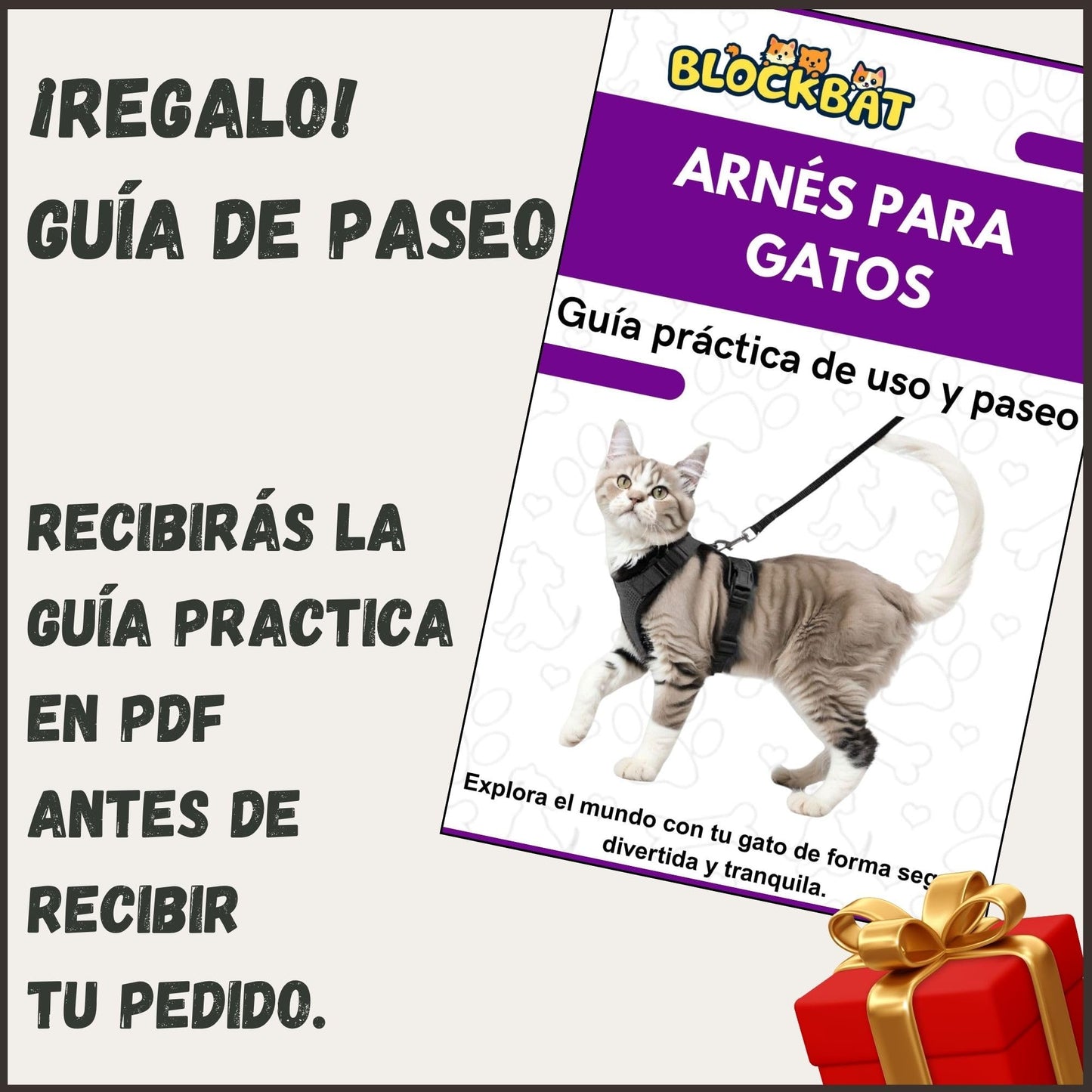 Arnes para Gatos, con Correa de 150cm, Antiescape, Cómodo y Reflectante, Fabricado en Malla Transpirable Suave, Arnes Gato, Cosas para Gatos, arnes Gato Pequeño. (XS, Negro)