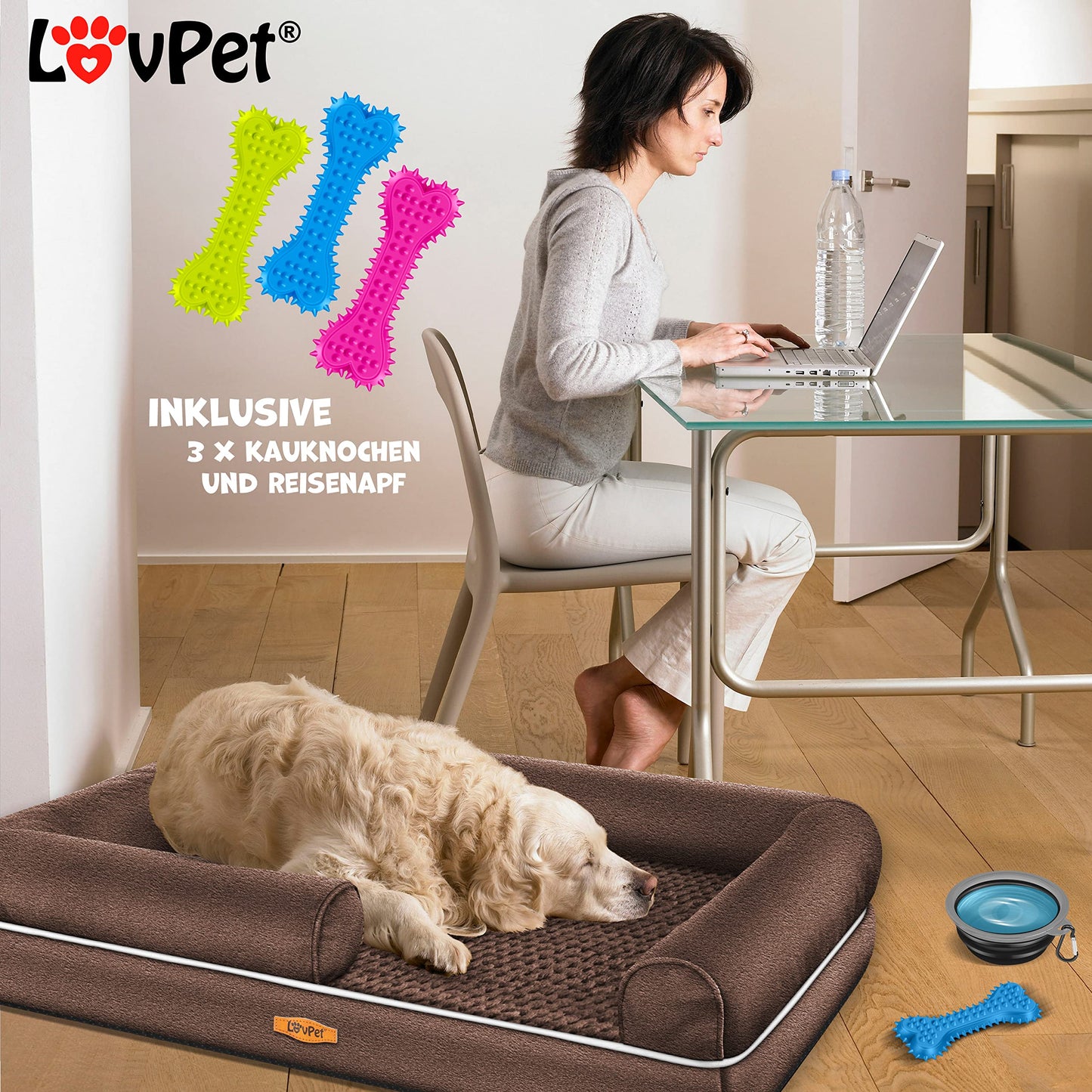 Lovpet® Cama ortopédica para Perros, cojín para Perros, Cesta para Perros Relax, Incluye comedero + 3 Huesos para Masticar, sofá para Perros pequeños, medianos y Grandes, Funda extraíble y Lavable