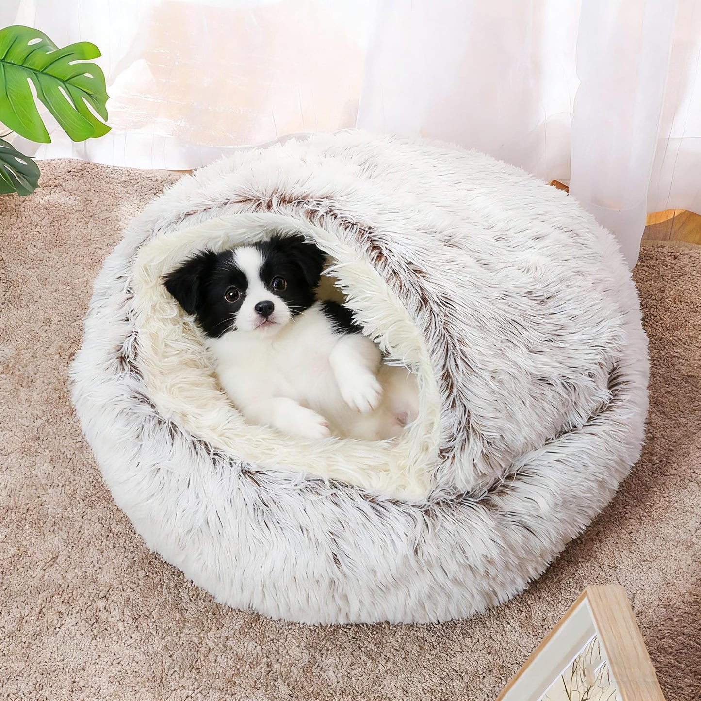 SHJOEE Cama Mullida para Perro en Forma de Concha Cesto de Felpa para Gato Cama para Mascotas de 50 cm Sofá Lavable para Gato Y Perros Medianos Pequeñas Inferior Antideslizante