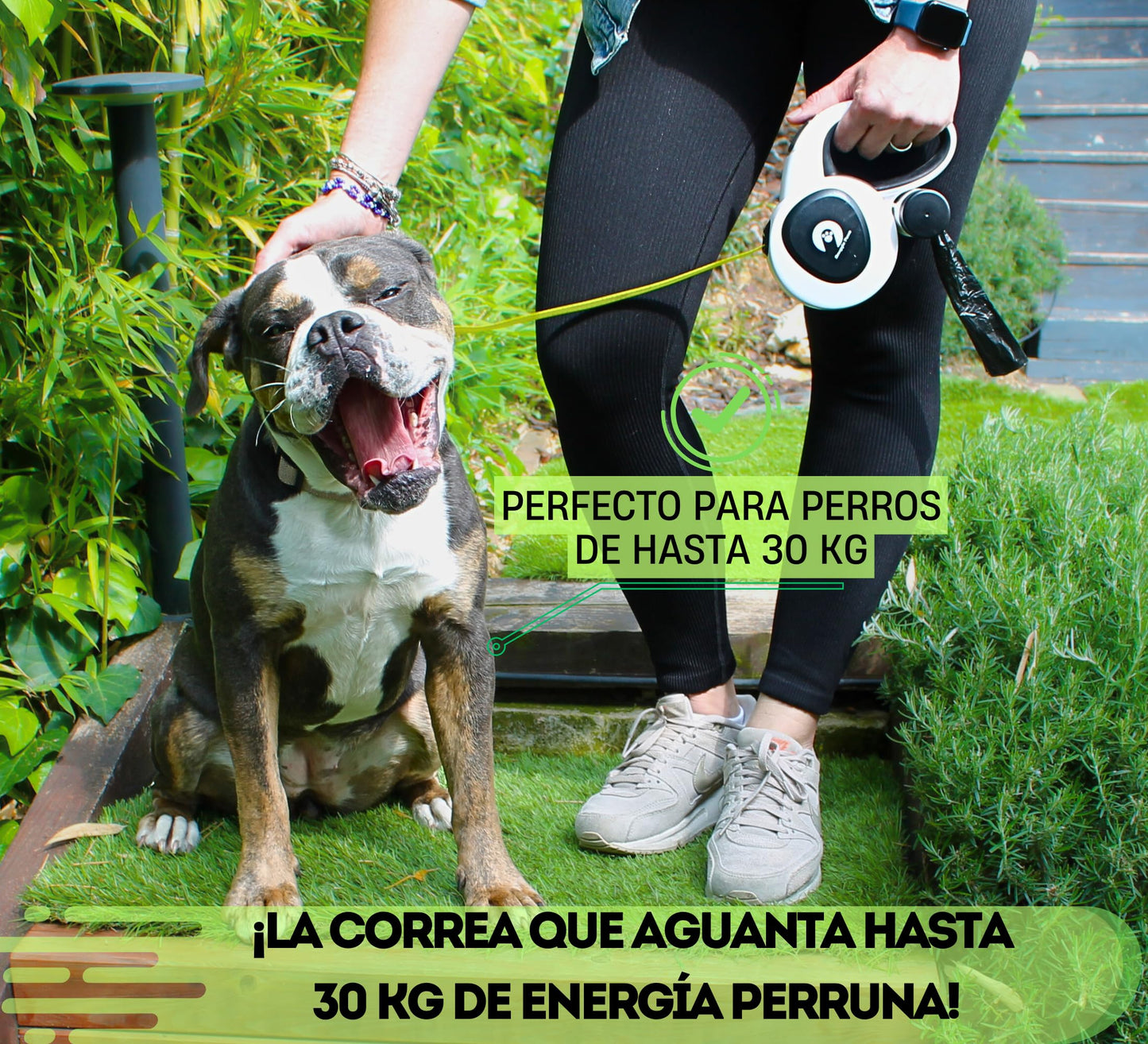 Snuggle Paws Correa Perro Extensible 5m Todo en Uno – Luz LED, Dispensador de Bolsas, Cable Antimordida y Cinta Reflectante | Correa Retráctil para Perros Medianos hasta 30kg