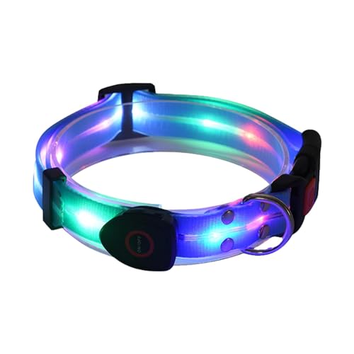Collar de perro con luz nocturna, collar ajustable iluminado para mascotas | Luces de perro resistentes a la intemperie para caminar por la noche, hacen que tu perro sea visible y seguro