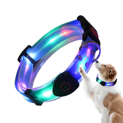 Collar de perro con luz nocturna, collar ajustable iluminado para mascotas | Luces de perro resistentes a la intemperie para caminar por la noche, hacen que tu perro sea visible y seguro