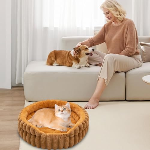 Generisch Cama pequeña para perros | Donut Cachorro Gatito Cama para gatos domésticos, almohada de felpa para perros pequeños y medianos Sala de estar Dormitorio Apartamento Casa Exterior Lavable a