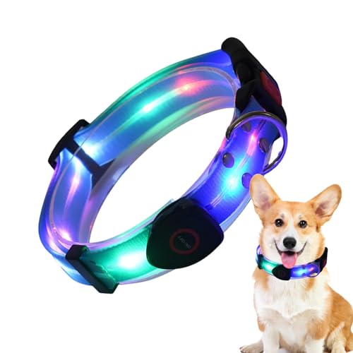 Collar de perro que brilla la oscuridad | Collar ajustable iluminado para mascotas - Luces de perro resistentes a la intemperie para caminar por la noche, hacen que tu perro sea visible y seguro