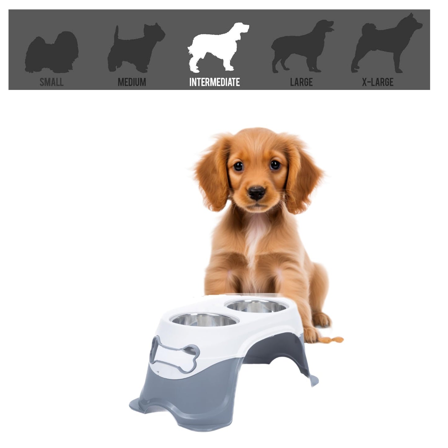 Lanco - Comedero para Mascotas. para Sólidos y líquidos. Fácil Limpieza. Elegante diseño. Evita Dolor de Cuello por su Altura.
