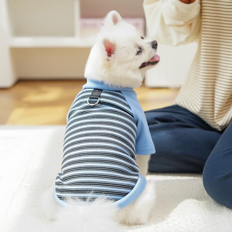 Abrigo Ropa para perros pequeños, suéter de invierno cálido a rayas con anillo de correa, sudaderas suaves para chihuahua, schnauzer, shih, tzu, yorkie, bulldog francés (azul, XL)