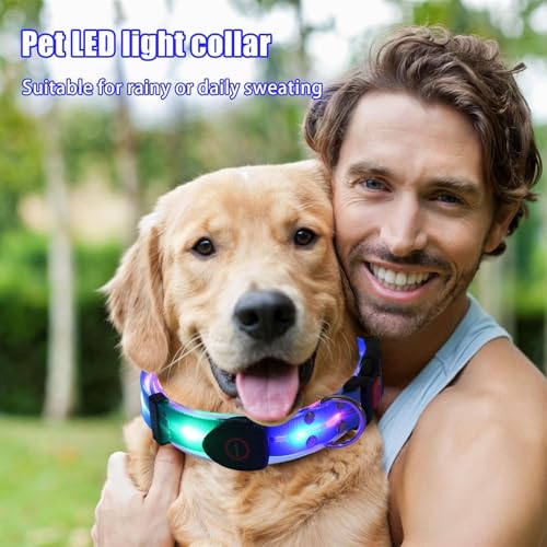 Collar de perro con luz nocturna, collar ajustable iluminado para mascotas | Luces de perro resistentes a la intemperie para caminar por la noche, hacen que tu perro sea visible y seguro