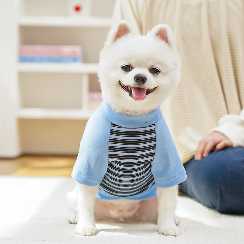 Abrigo Ropa para perros pequeños, suéter de invierno cálido a rayas con anillo de correa, sudaderas suaves para chihuahua, schnauzer, shih, tzu, yorkie, bulldog francés (azul, XL)