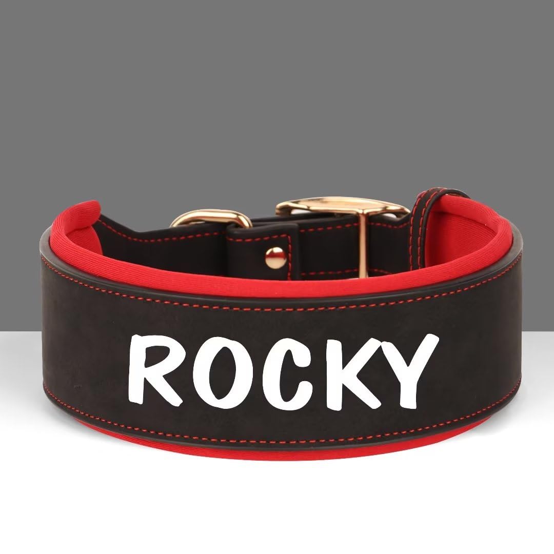 PET ARTIST Collar De Perro Grande De Cuero Personalizado De Gama Ancha - Collar De Perro Grande Acolchado Suave Y Grueso, Tamaño De Perro Grande Mastín Rottweiler, Negro XL