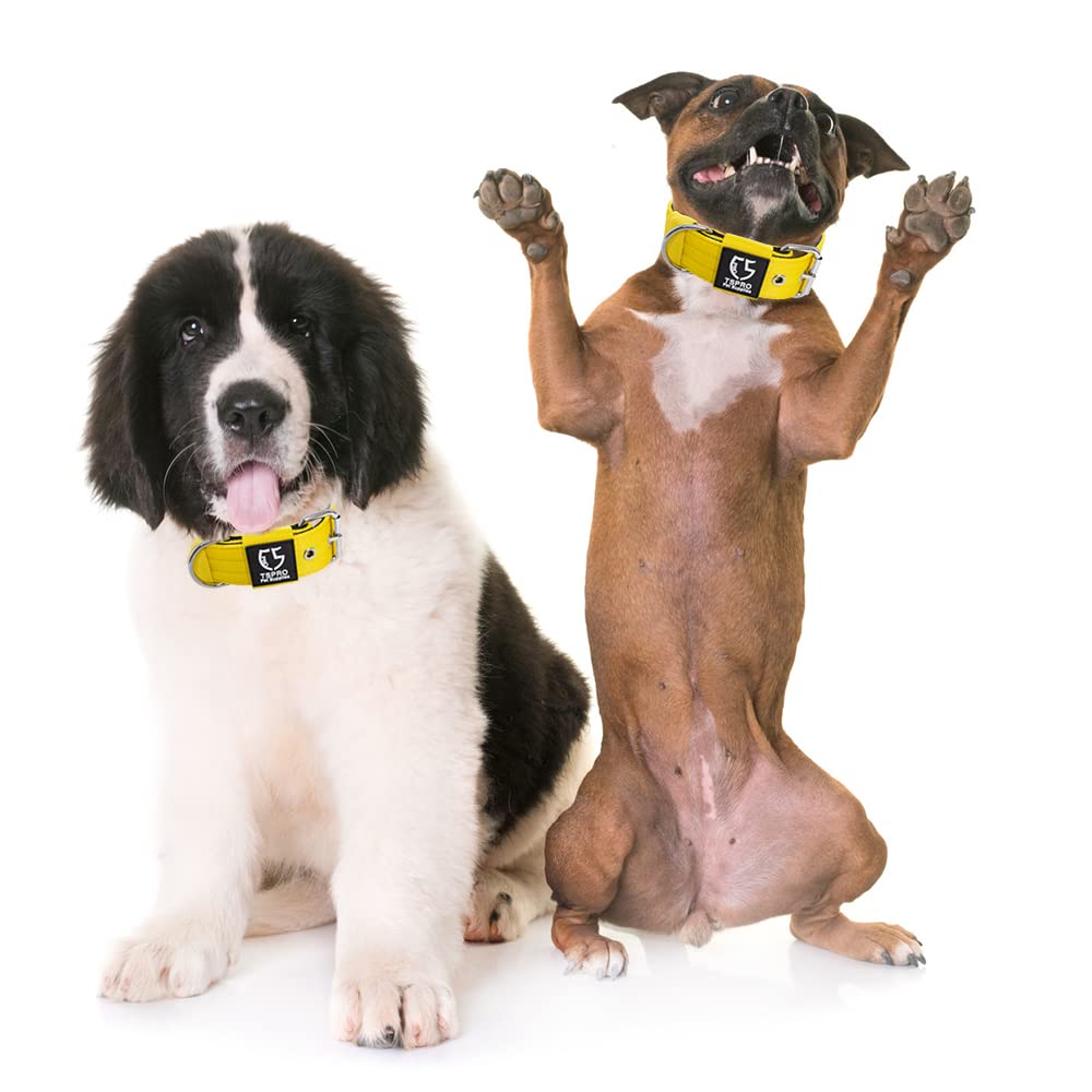 TSPRO Collar Táctico para Perros Ajustable, Collares con Broche de Metal Robusto, de 3,8 cm de Ancho, Duradero y Cómodo para Perros Medianos y Grandes (Amarillo M)