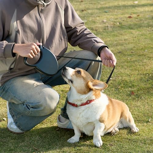 Correa retráctil para perro, longitud extensible de 7,5 m, grande (para perros de hasta 50 kg), color negro