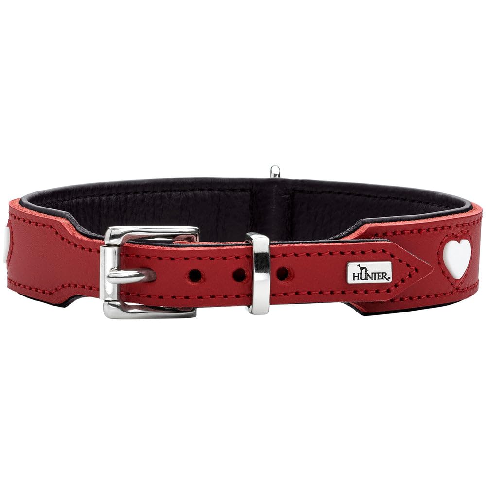 Collar para Perro Hunter Love M 41-49 cm Rojo